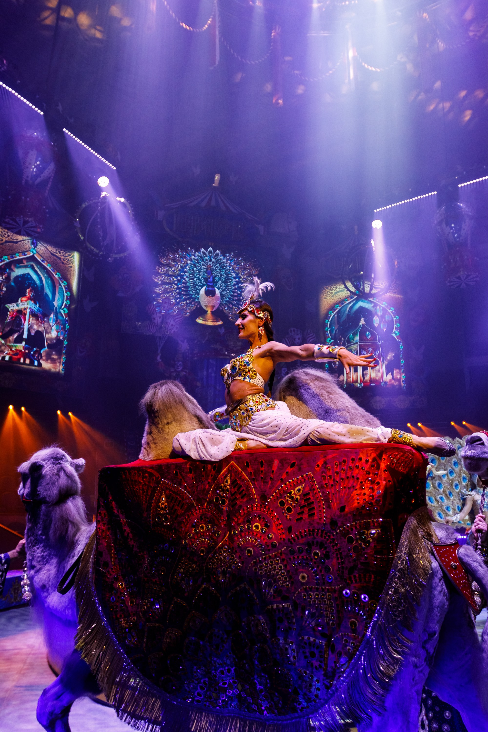 Сочинский росгорцирк Шоу Гии Эрадзе цирк. Профессиональный фотограф в Сочи Виктория Джой. Обучение