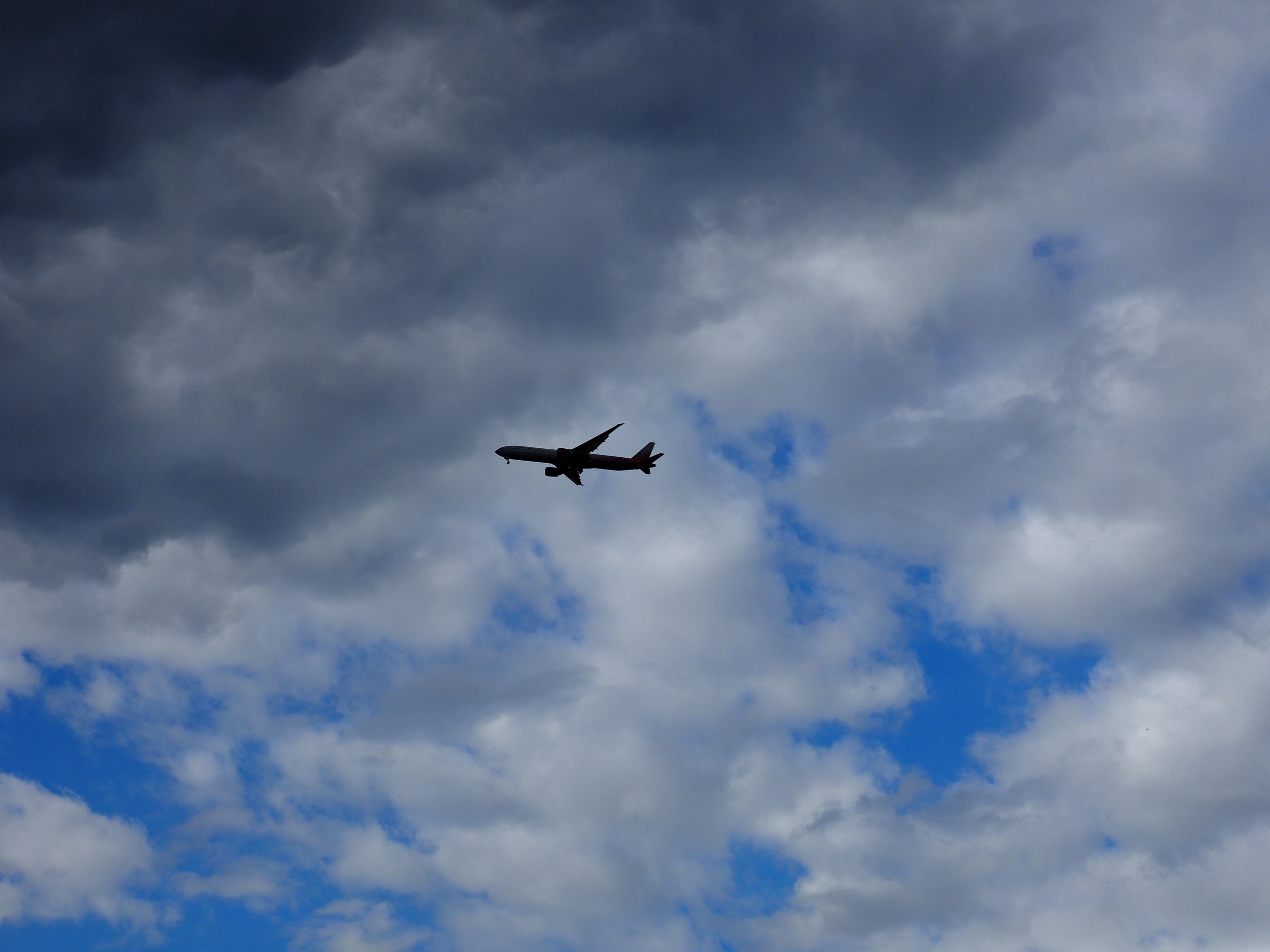 Шашлычный пикник | 08.08.2020. Галерея Фантим