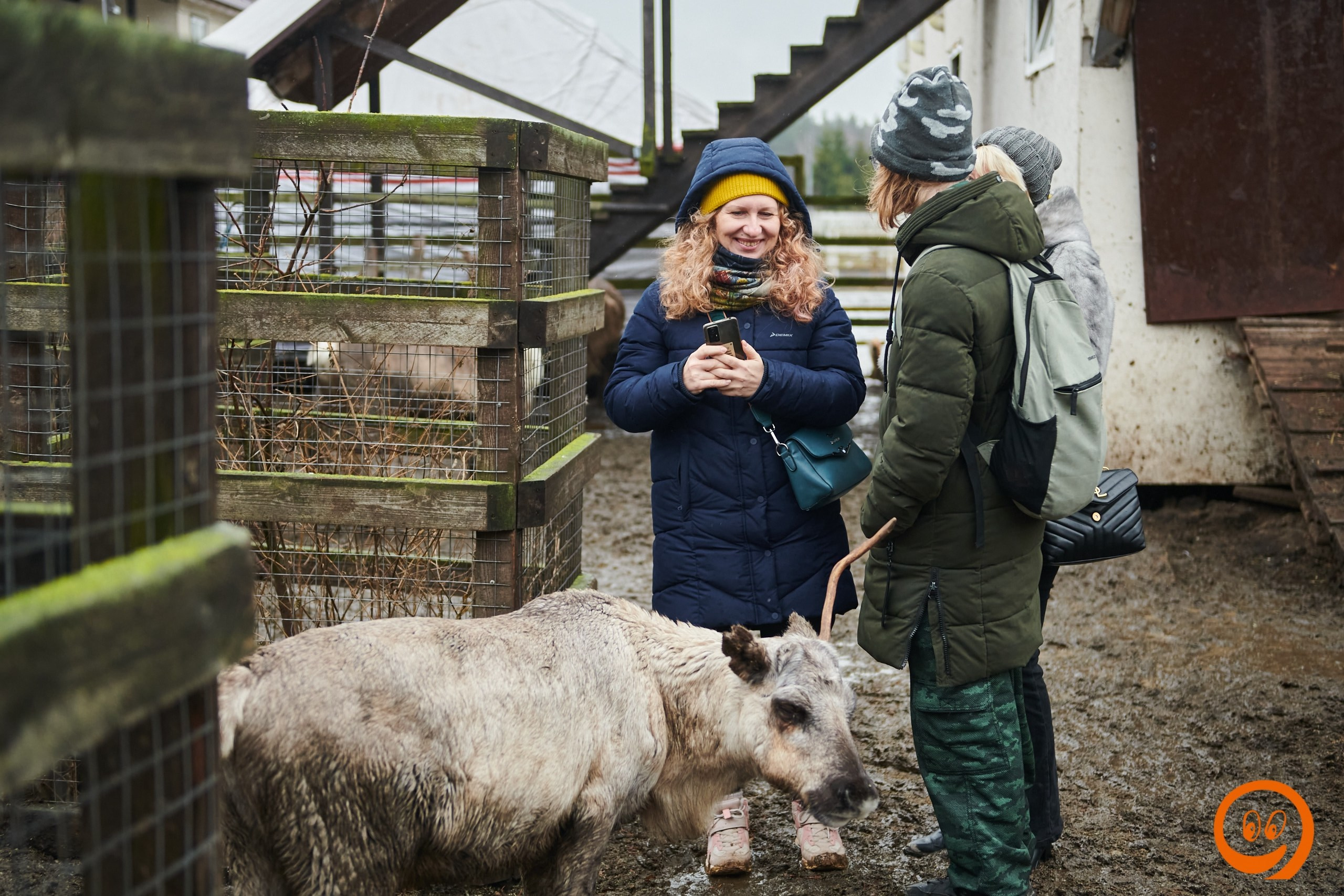 В гости к северным оленям | 18.01.2025. Галерея Фантим