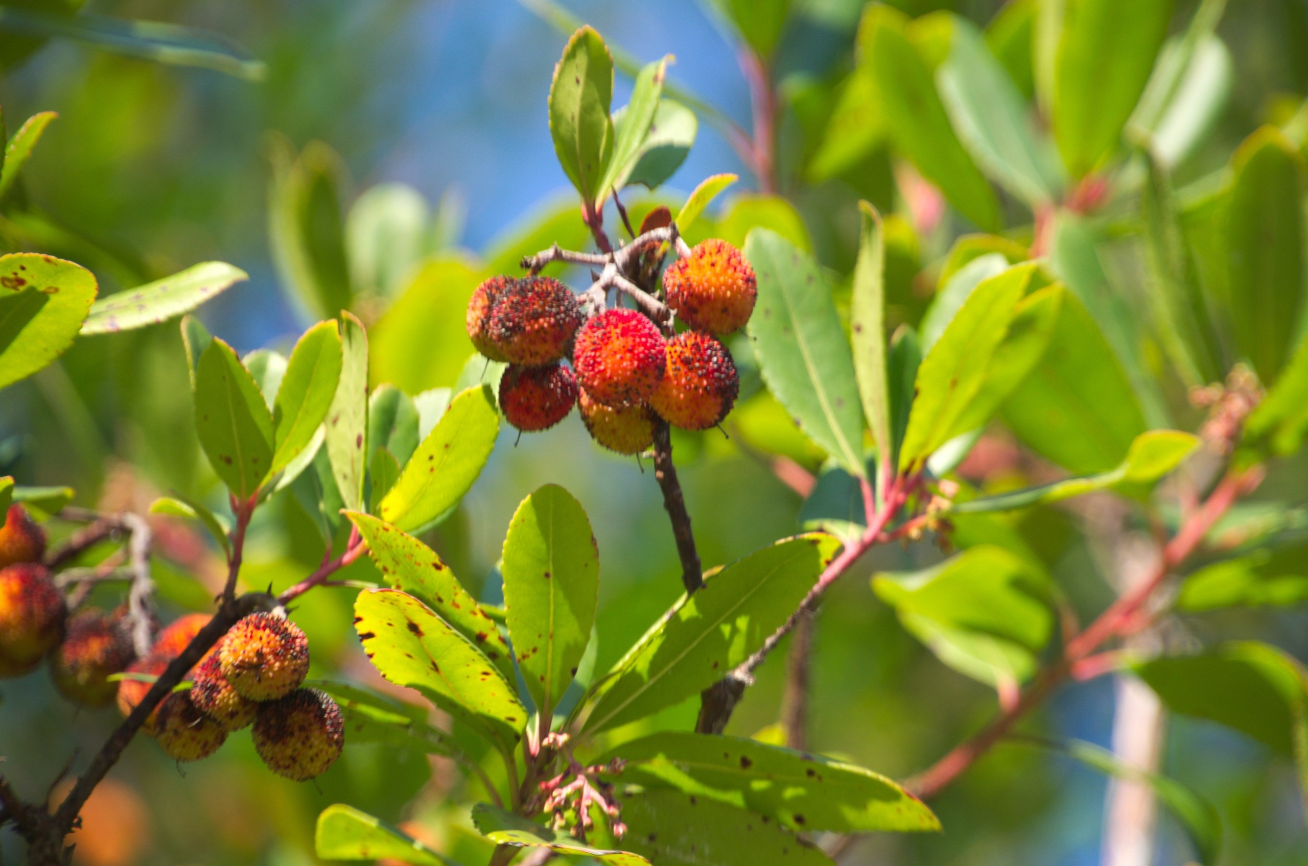 Сочи | 05-06.10.2019. Галерея Фантим