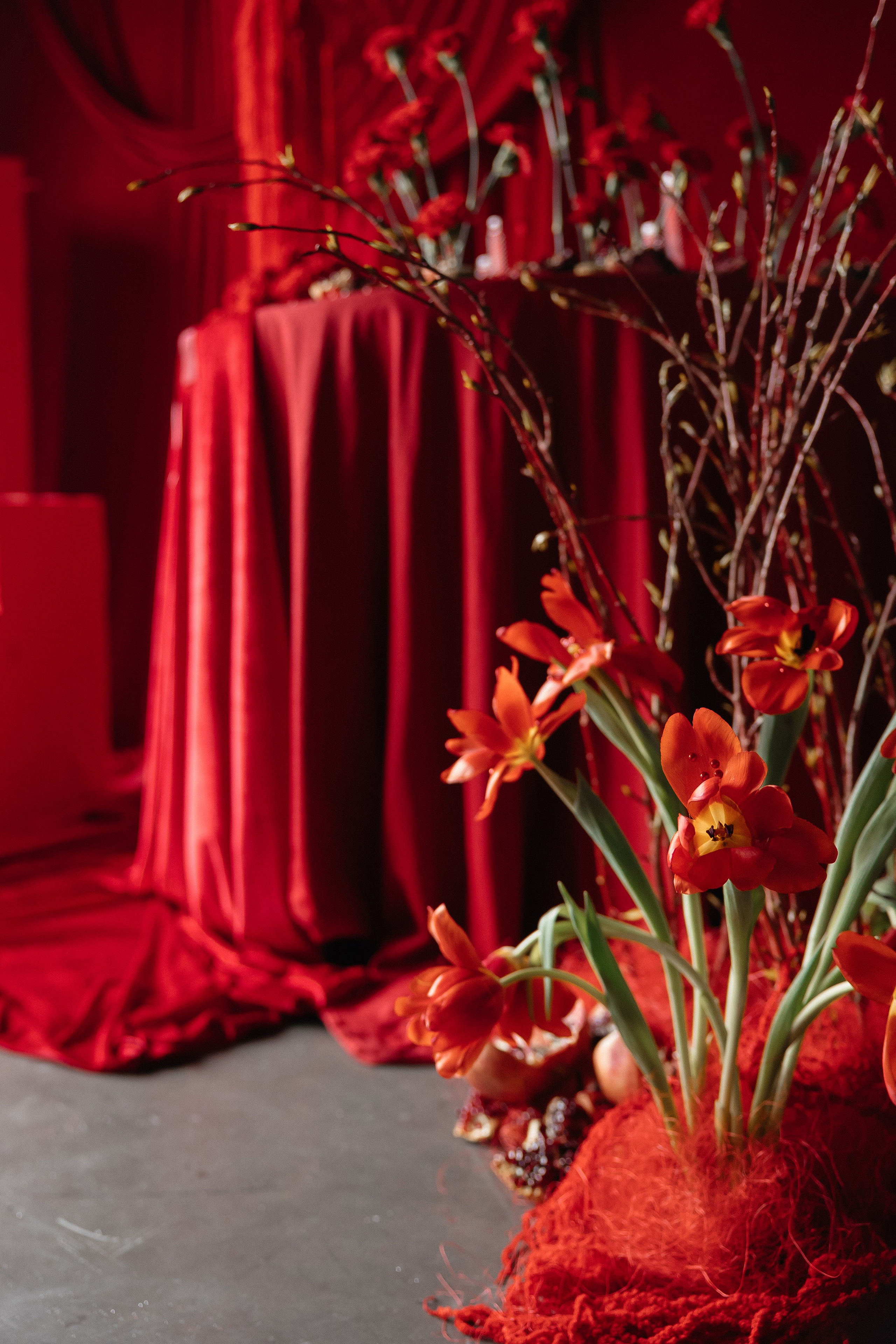 RED Pion. Фотограф свадебный семейный в Красноярске Шукшина Наталья