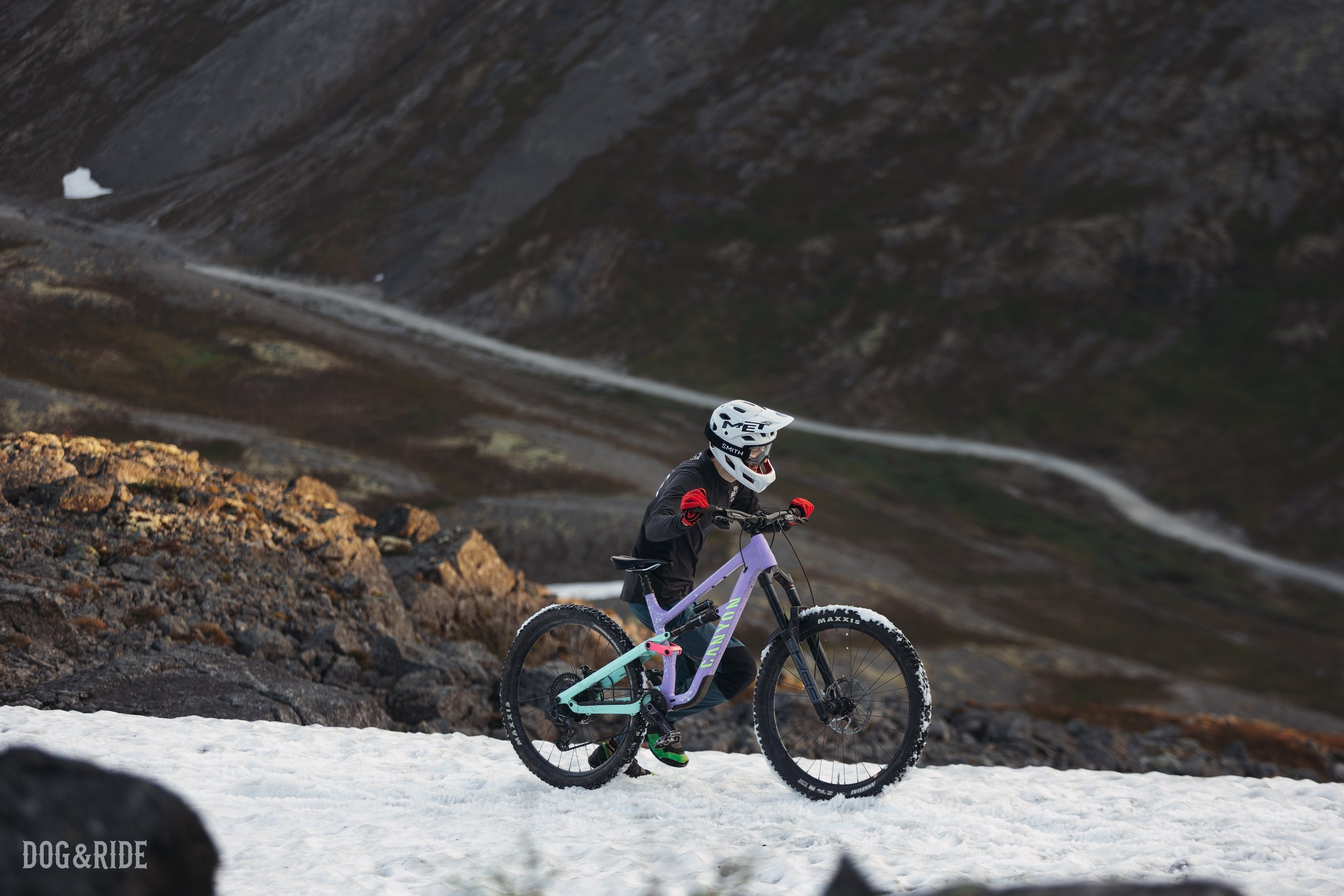 Хибины. Фотограф анималист Никита Натальный