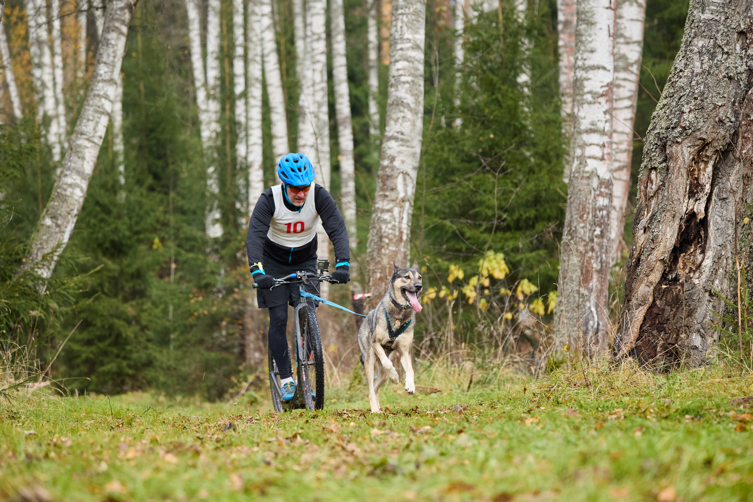 Чемпионат по ЕС Ярославской области. Фотограф Ирина Астор