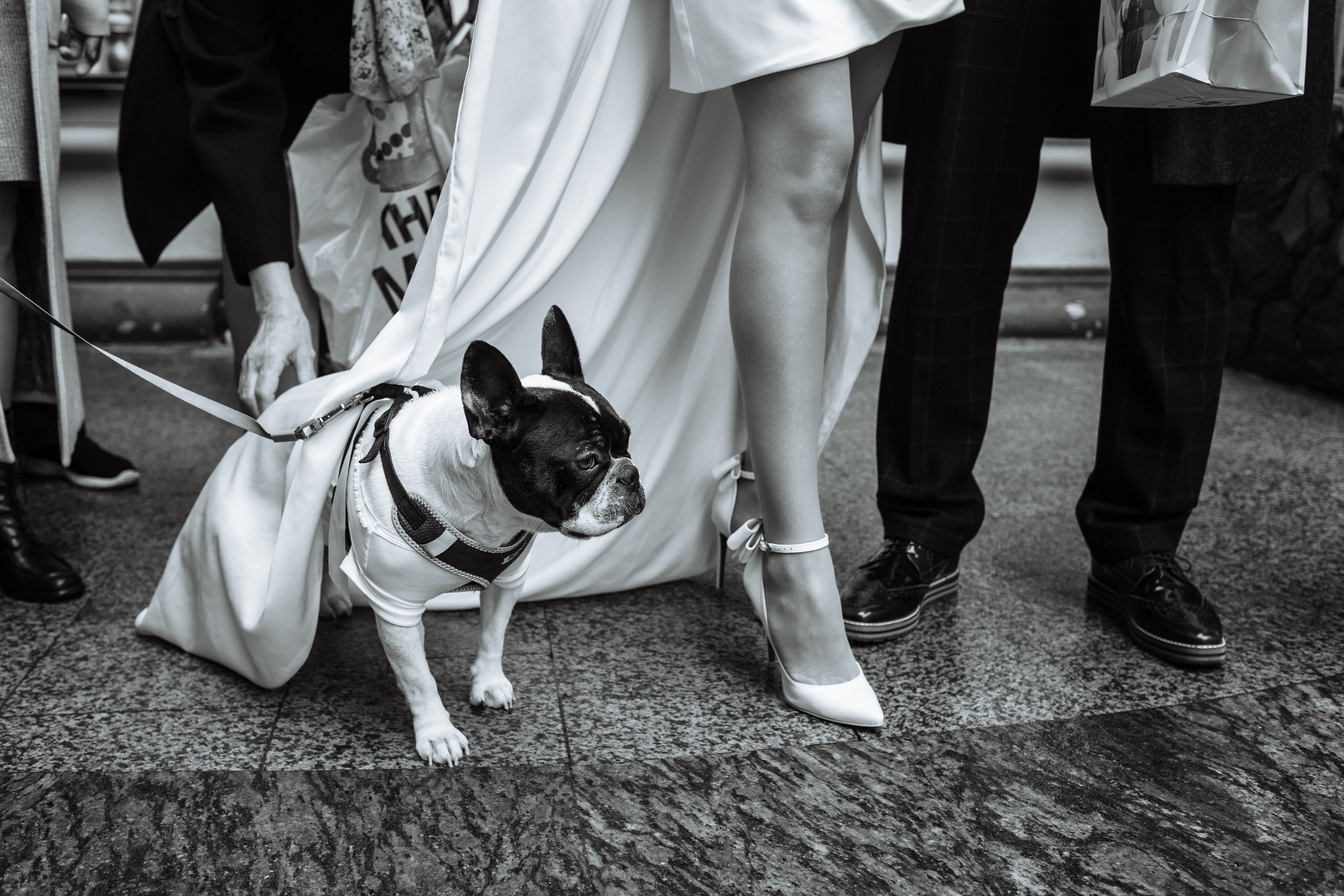 Топовый фотограф свадебный в Москве. Фотограф в России, Семейный фотограф, репортажный фотограф, детский фотограф, портретный фотограф, контент фотограф, универсальный фотограф