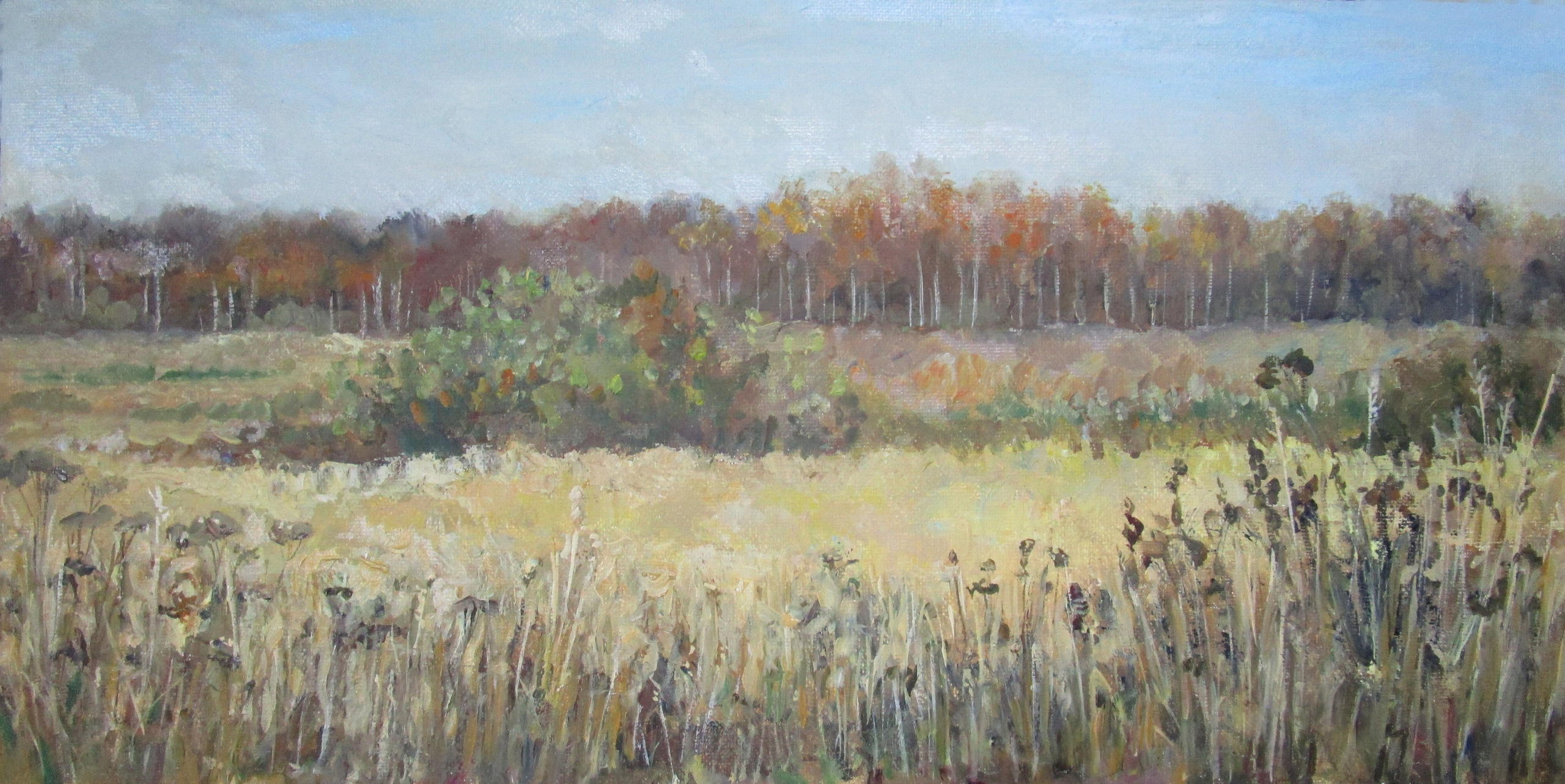 Октябрьское поле, Подмосковье; холст / масло, 2020