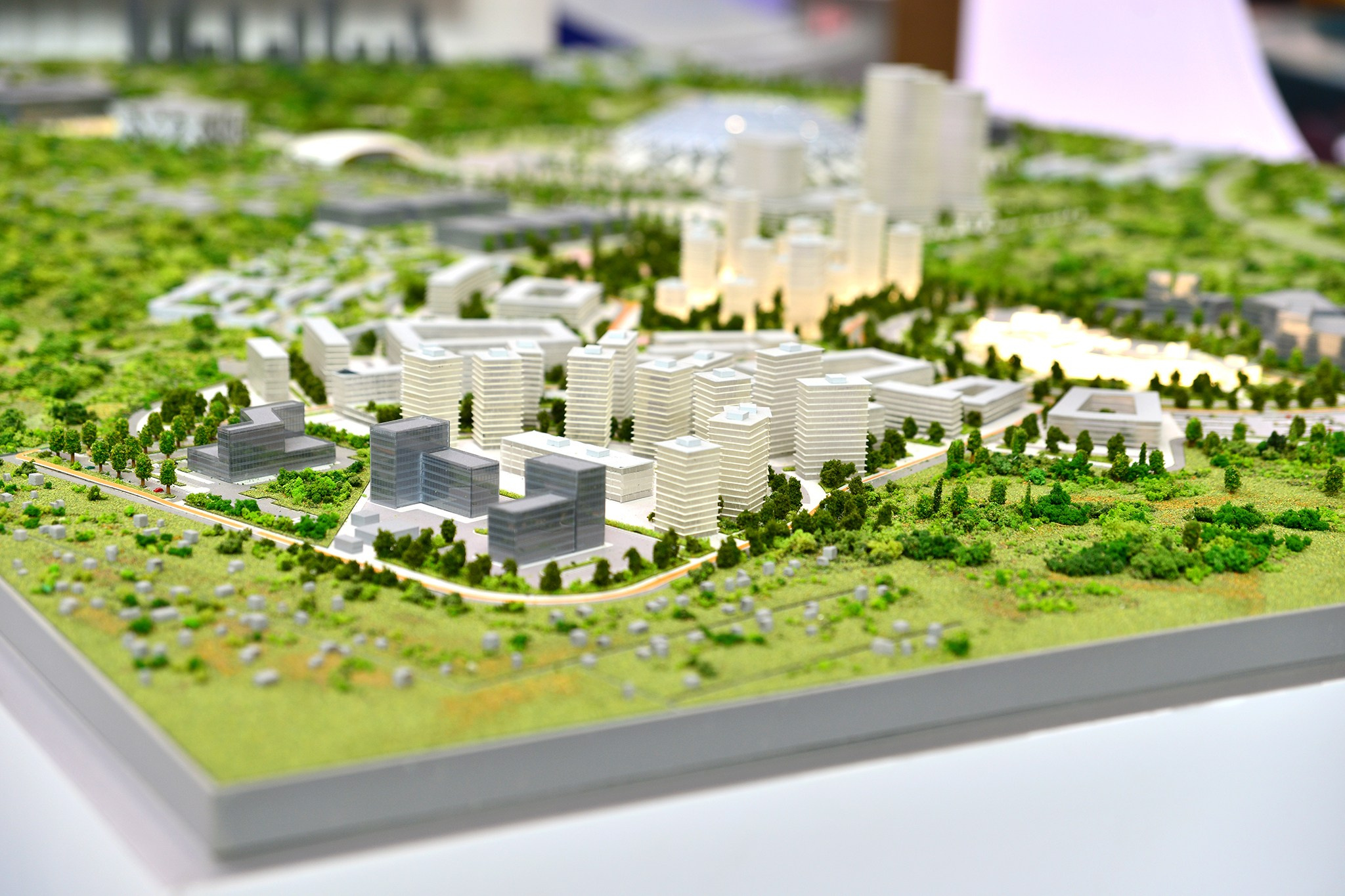 ПМЭФ. Июнь 24. Репортажный фотограф в Санкт-Петербурге Анастасия Клёпова