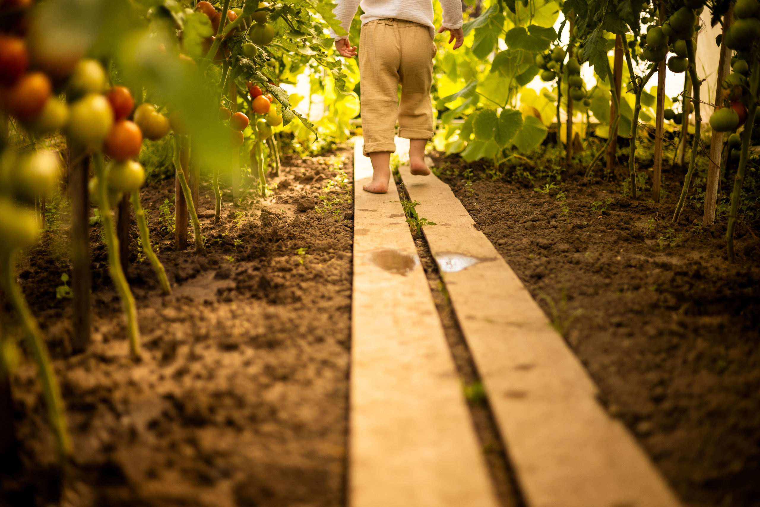 Детская фотосессия. Помидорки. Фотограф Самойлова Анна Архангельск, Северодвинск