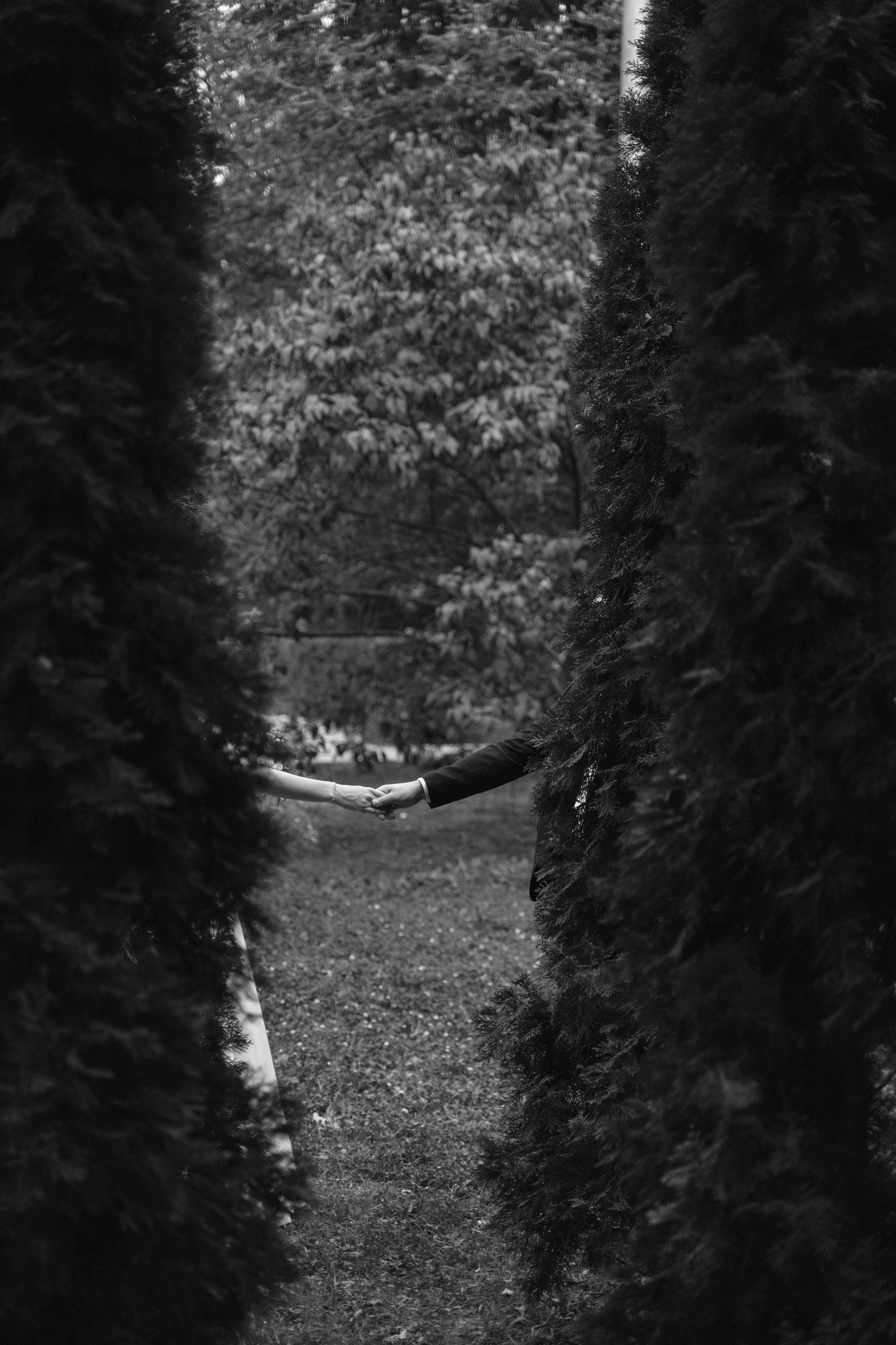 Прогулка. Фотограф Надежда Погребняк | Рязань | Москва