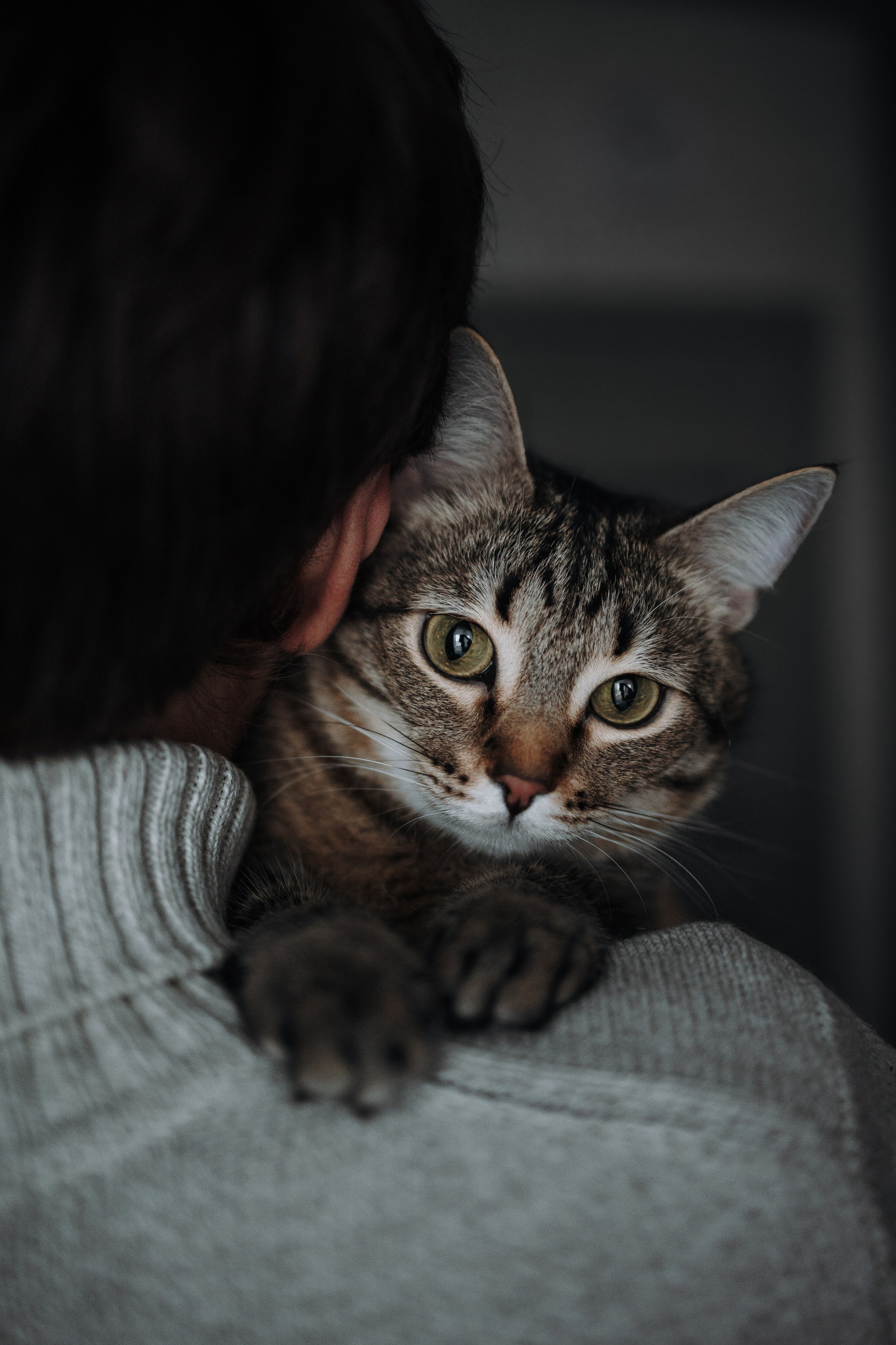 Мася и ее семья. Фотограф — Анималист | Санкт-Петербург