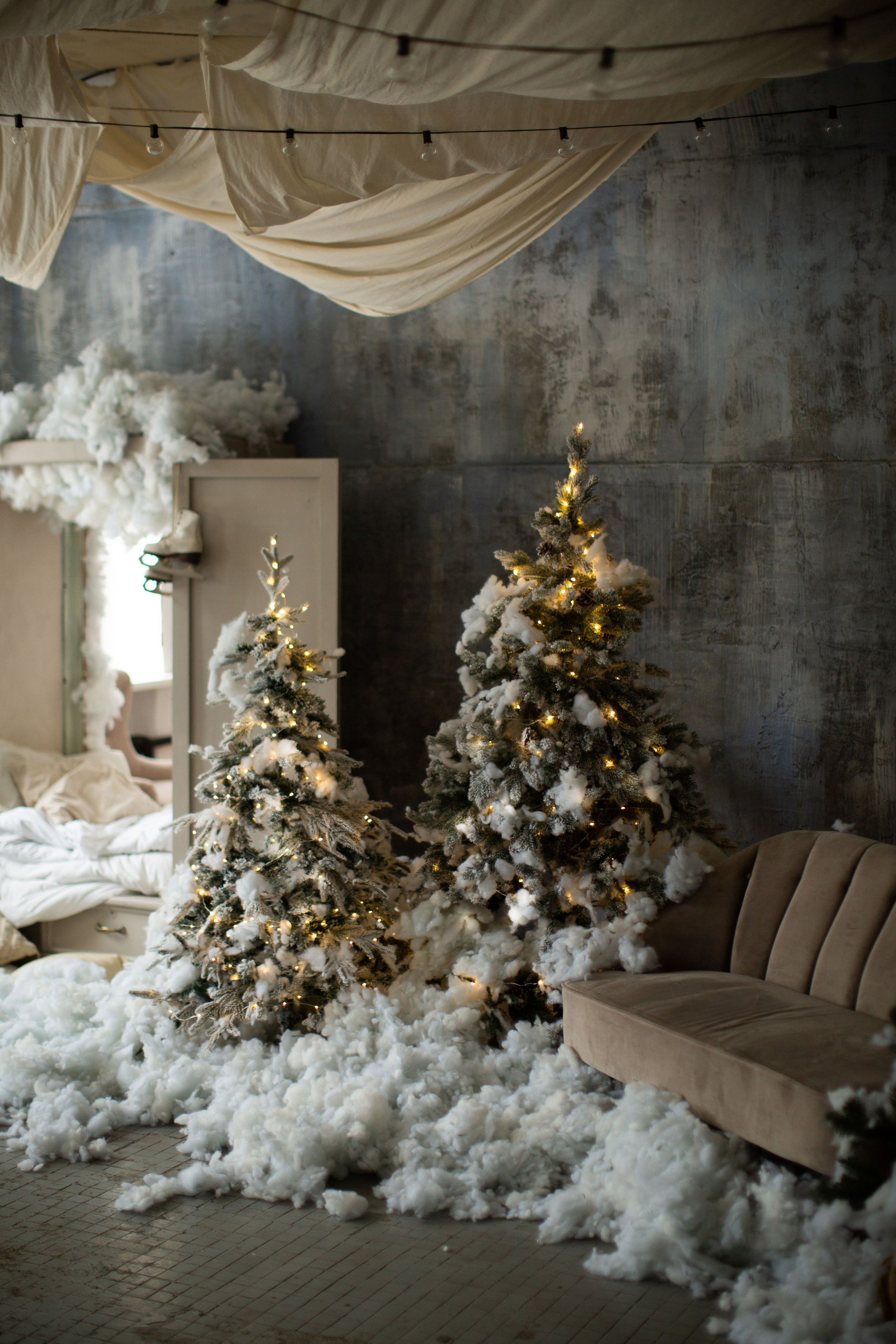 Нг24. Фотограф НатаФото (Наталья Яковенко) Дмитров Москва Питер