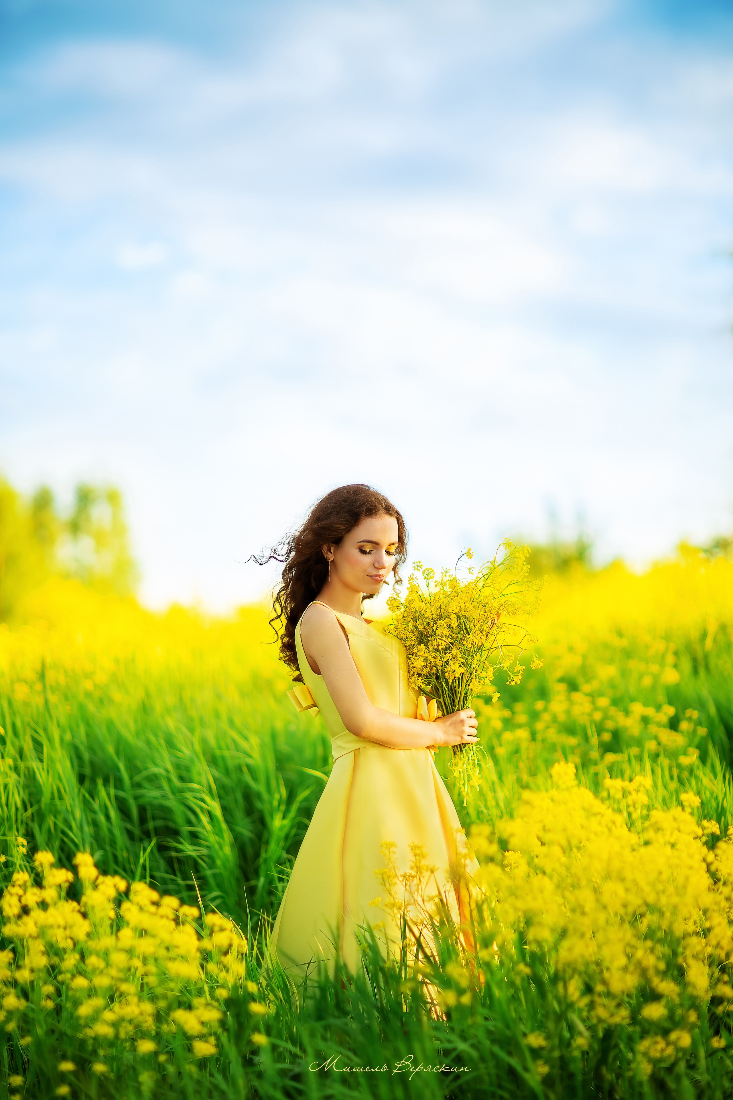 Рапсовые истории