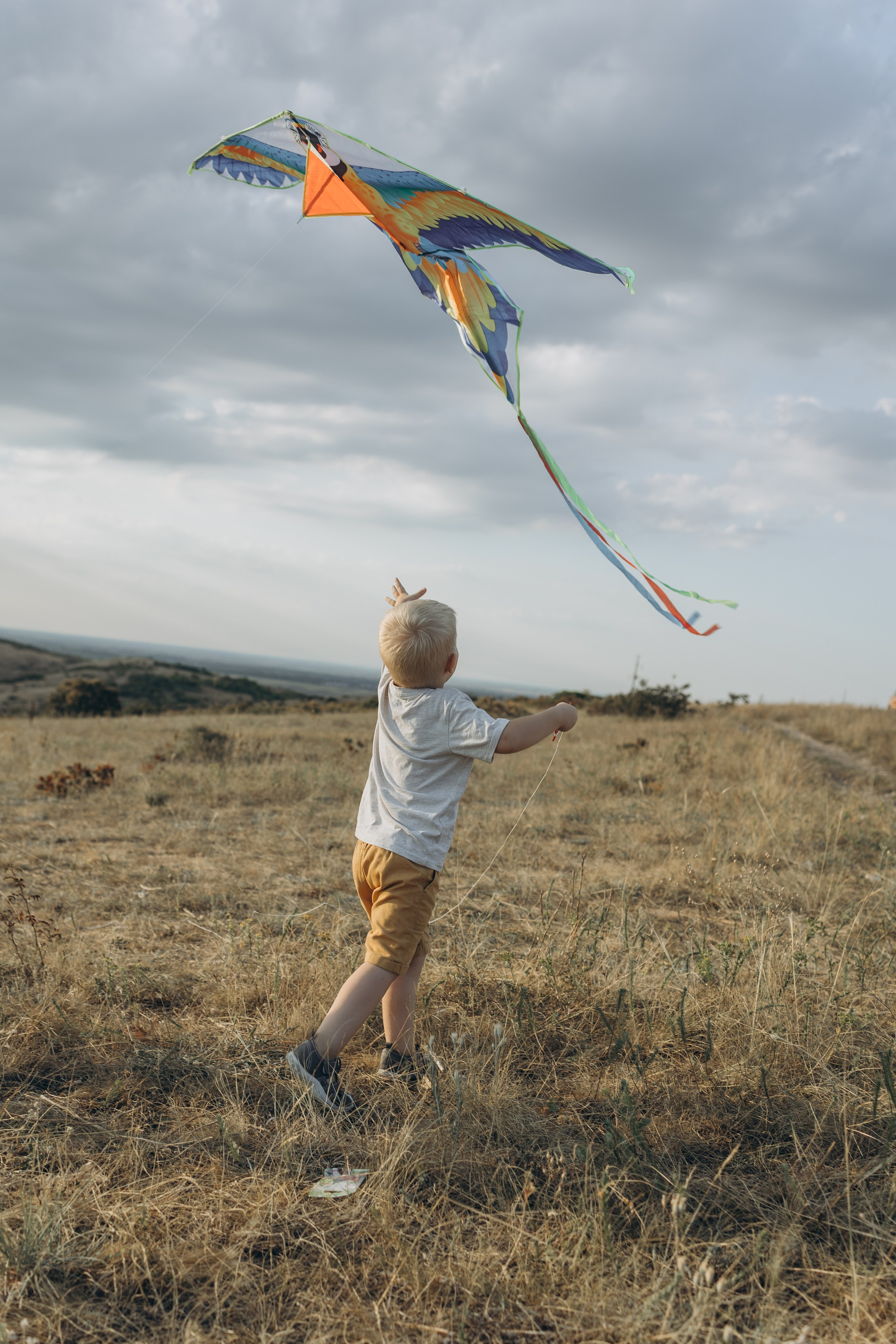 Воздушный змей. Семейный фотограф в Москве Виктория Ястребинская
