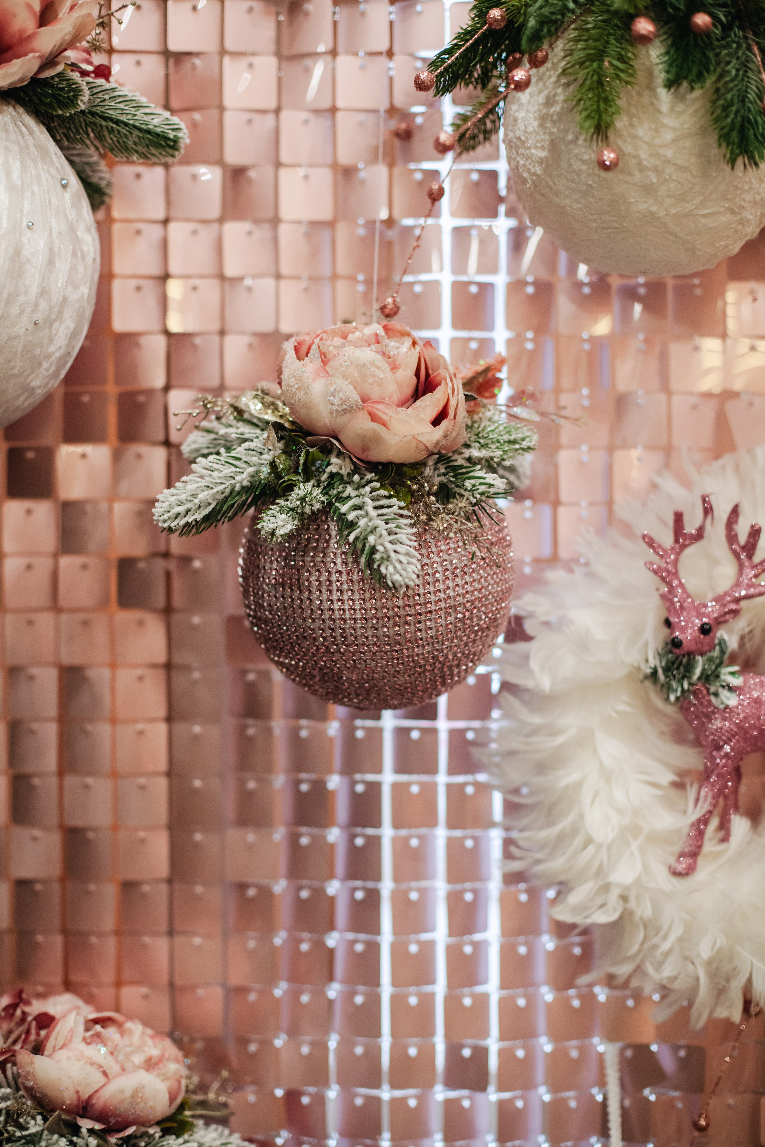 Бульёлка 2024. Фотограф-анималист Татьяна Степанова