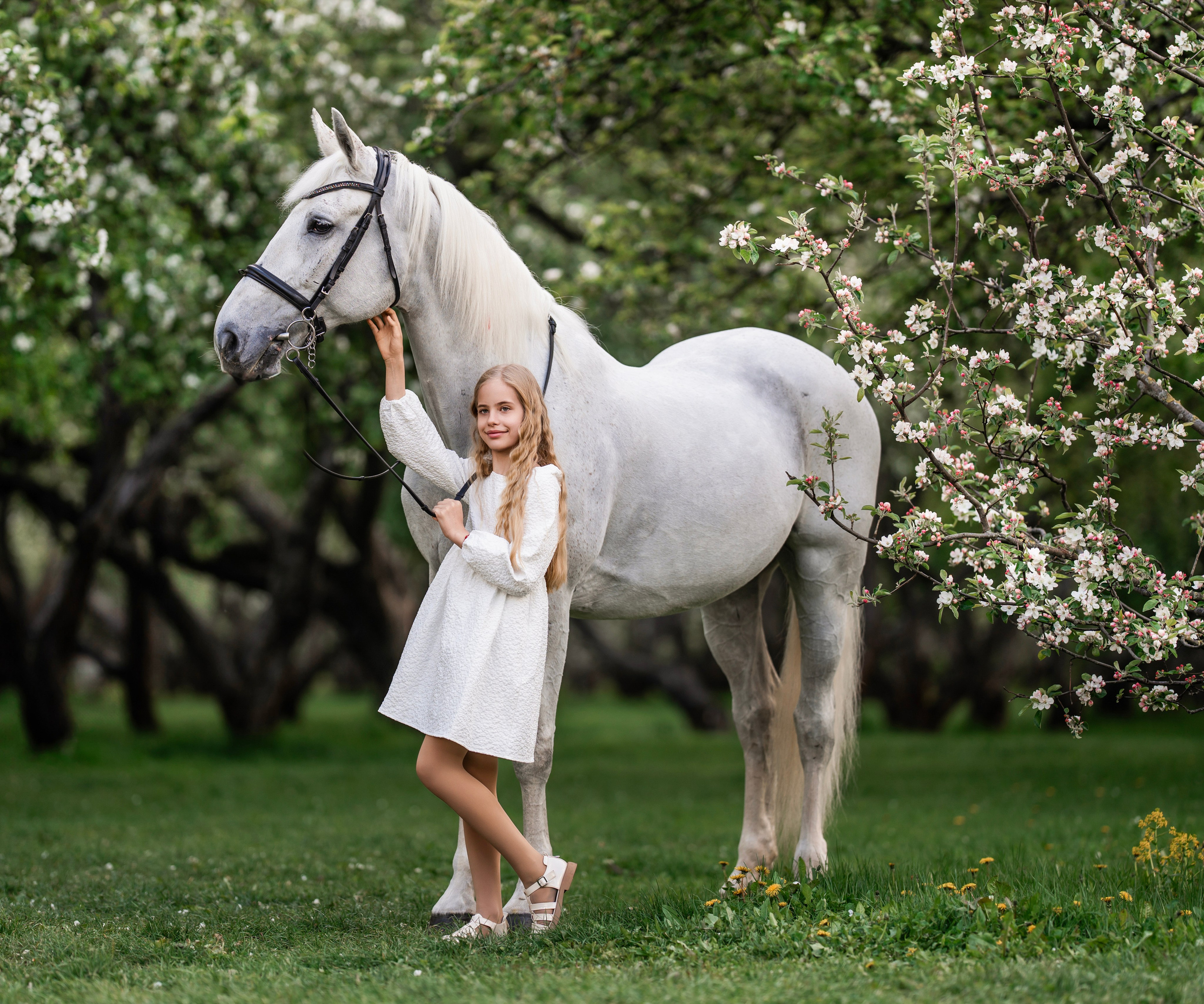Цветение садов. Профессиональный фотограф в Москве Марина Григорьева