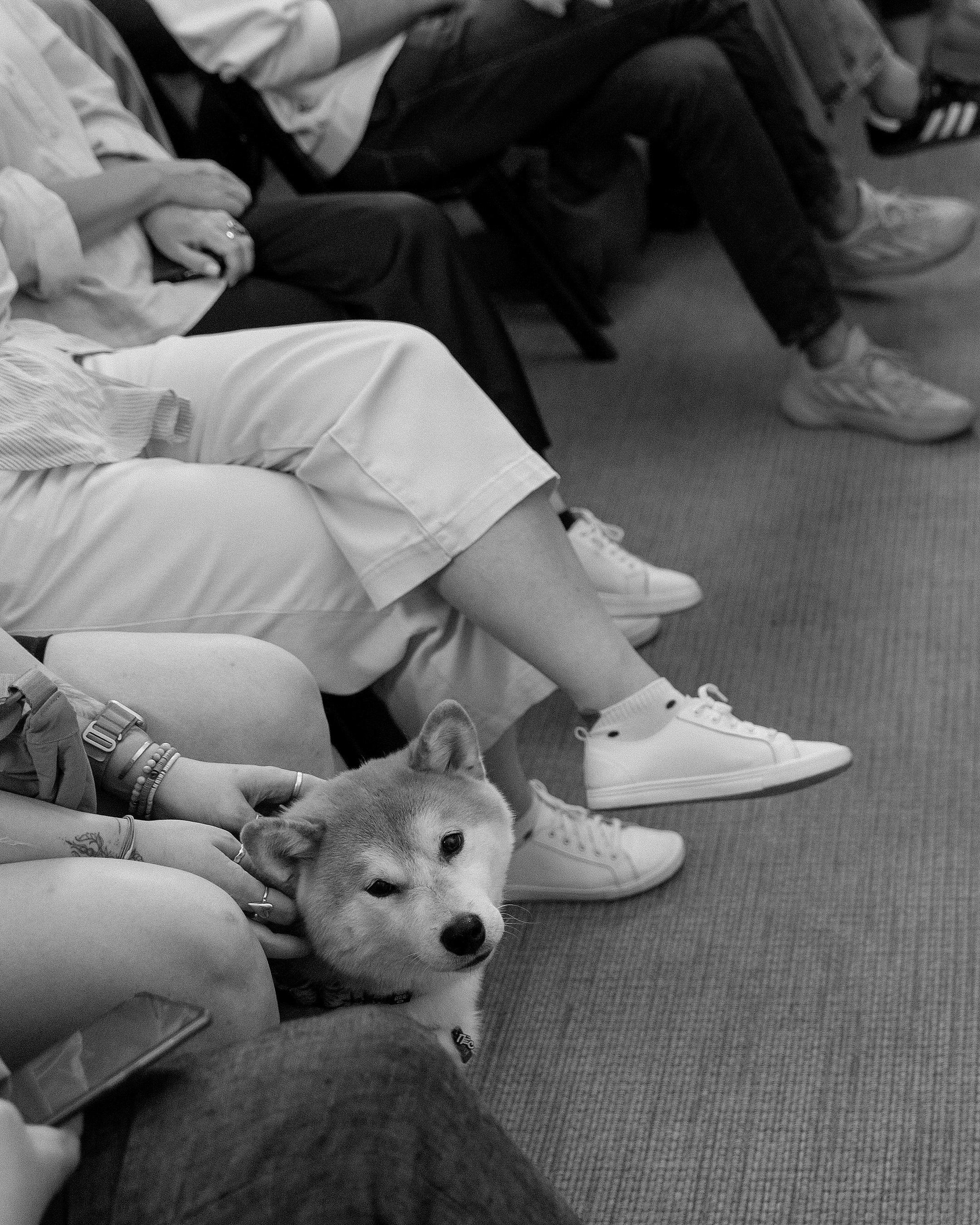 Среда своих