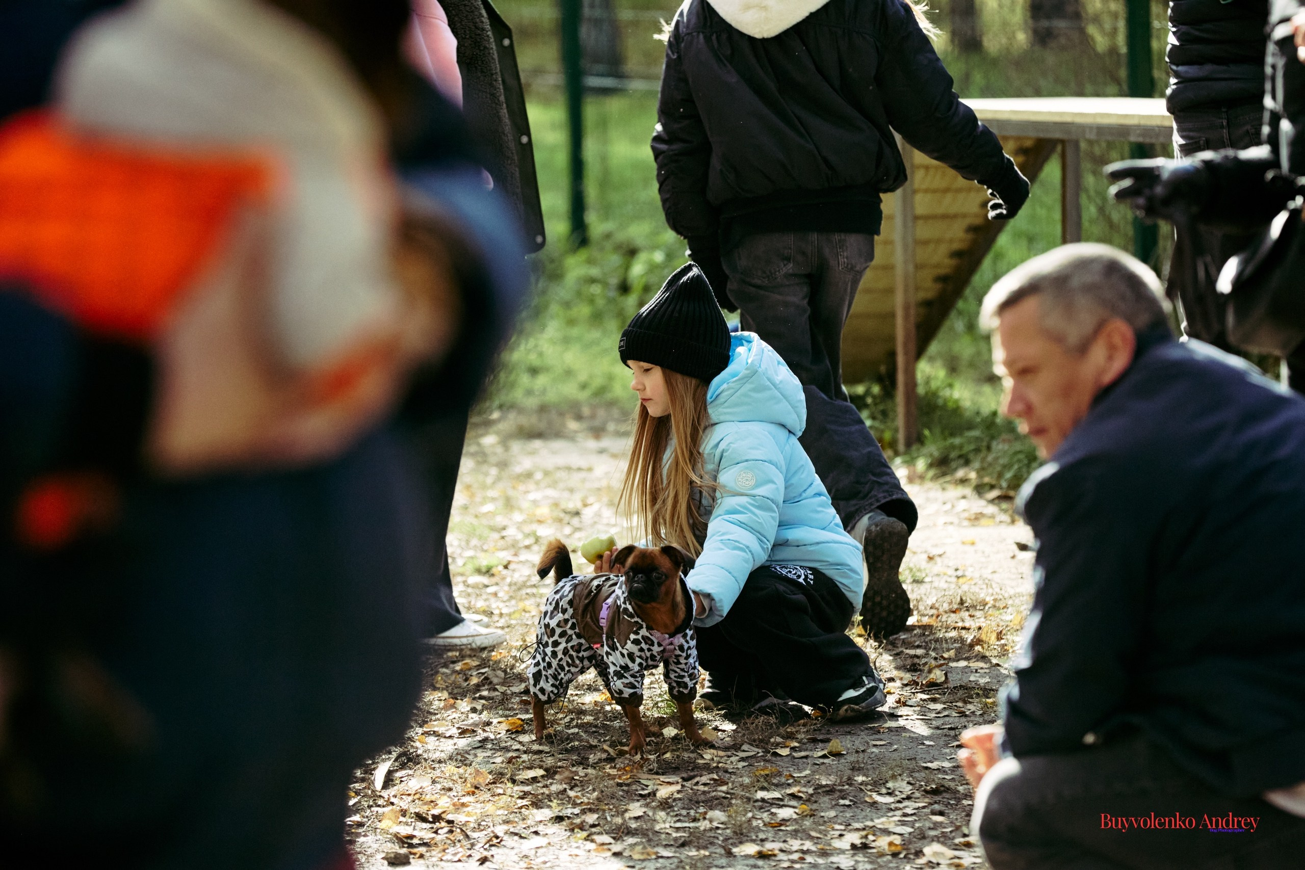 Брабогриффотусаекб. Buyvolenko Andrey