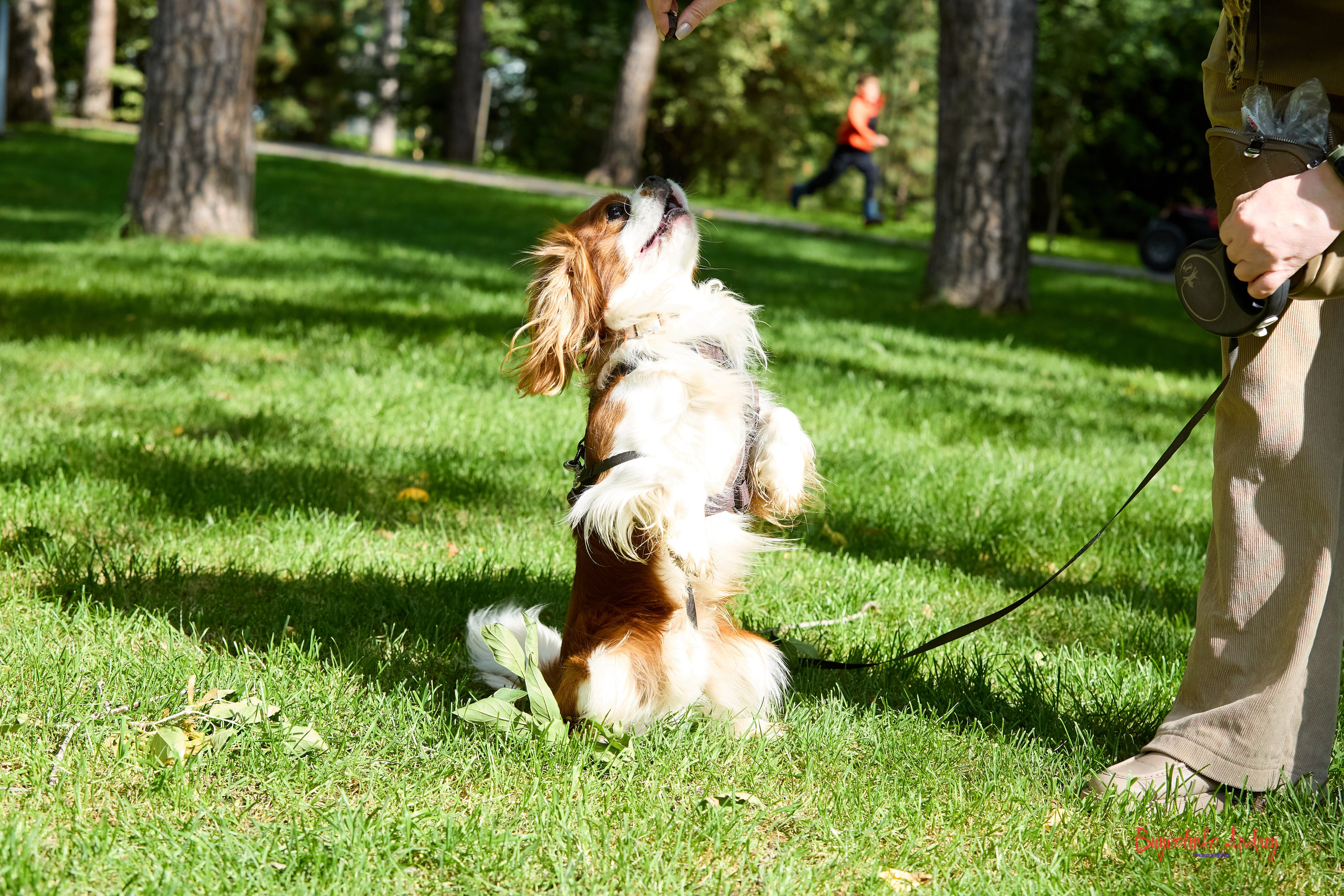 Фотопрогулка с кавалерами. Buyvolenko Andrey