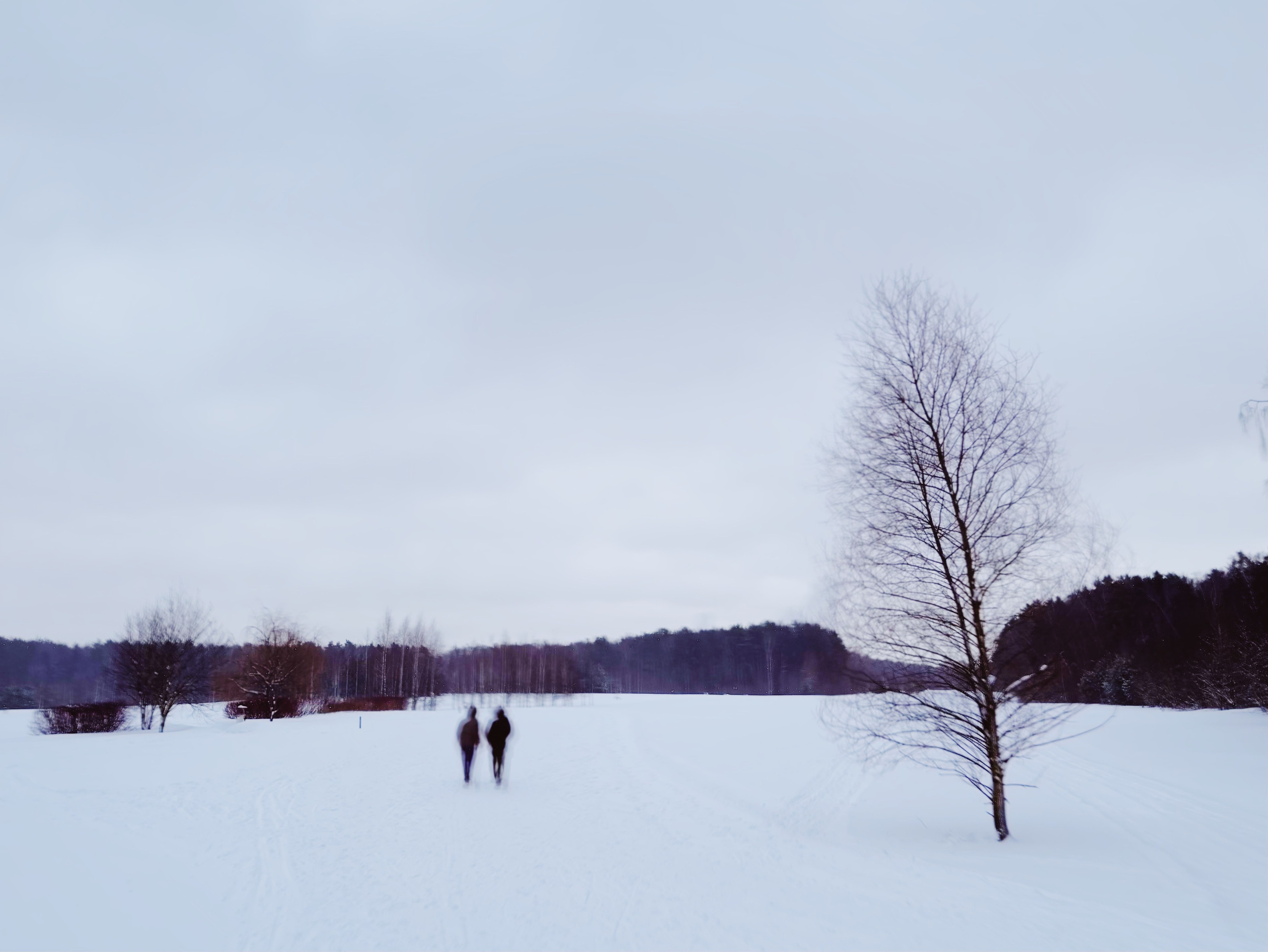 Postcards. Мария Сосновская, фотограф, Москва. Семейные, личные, контент съемки