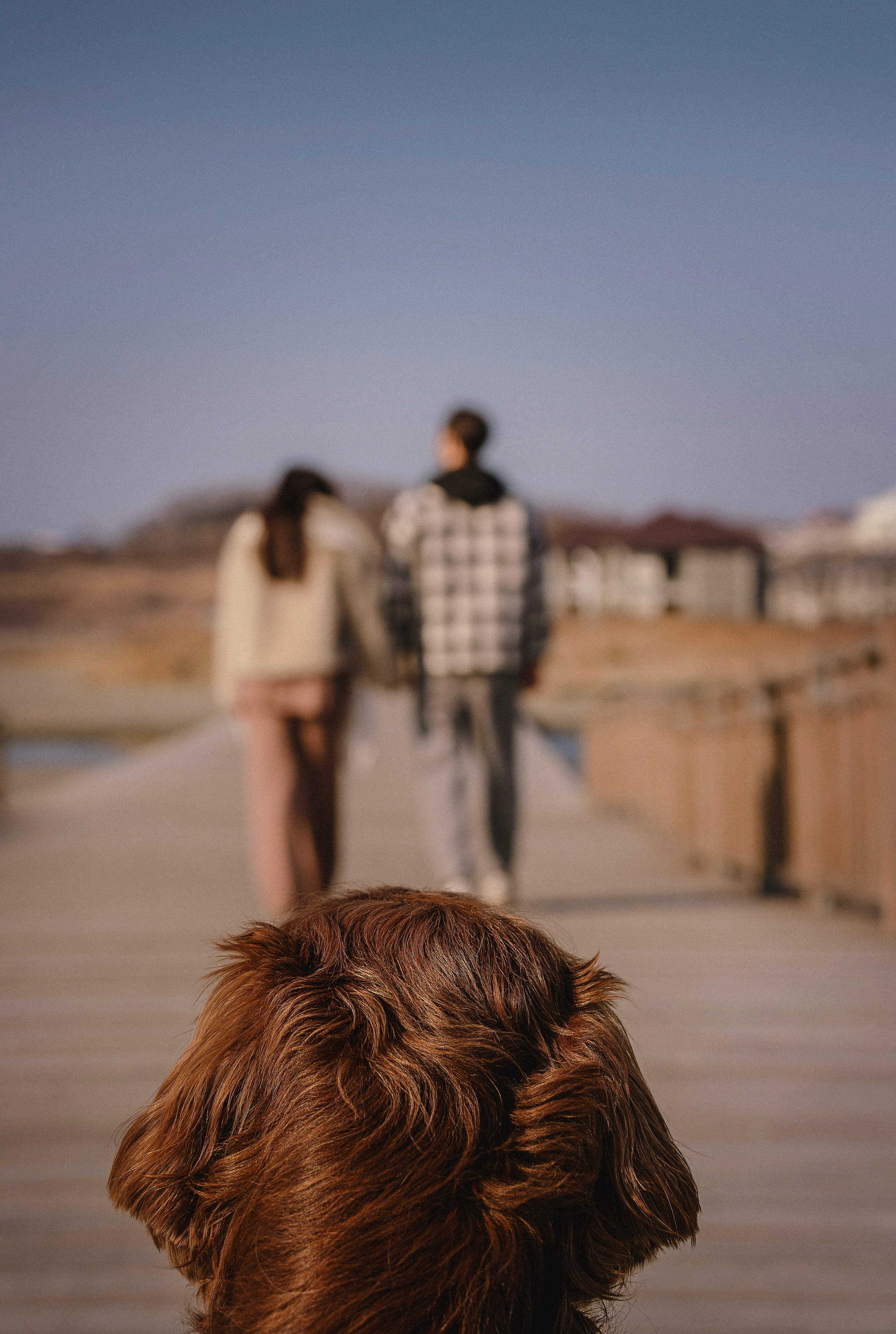 Love Story. Семейный фотограф анималист г. Находка