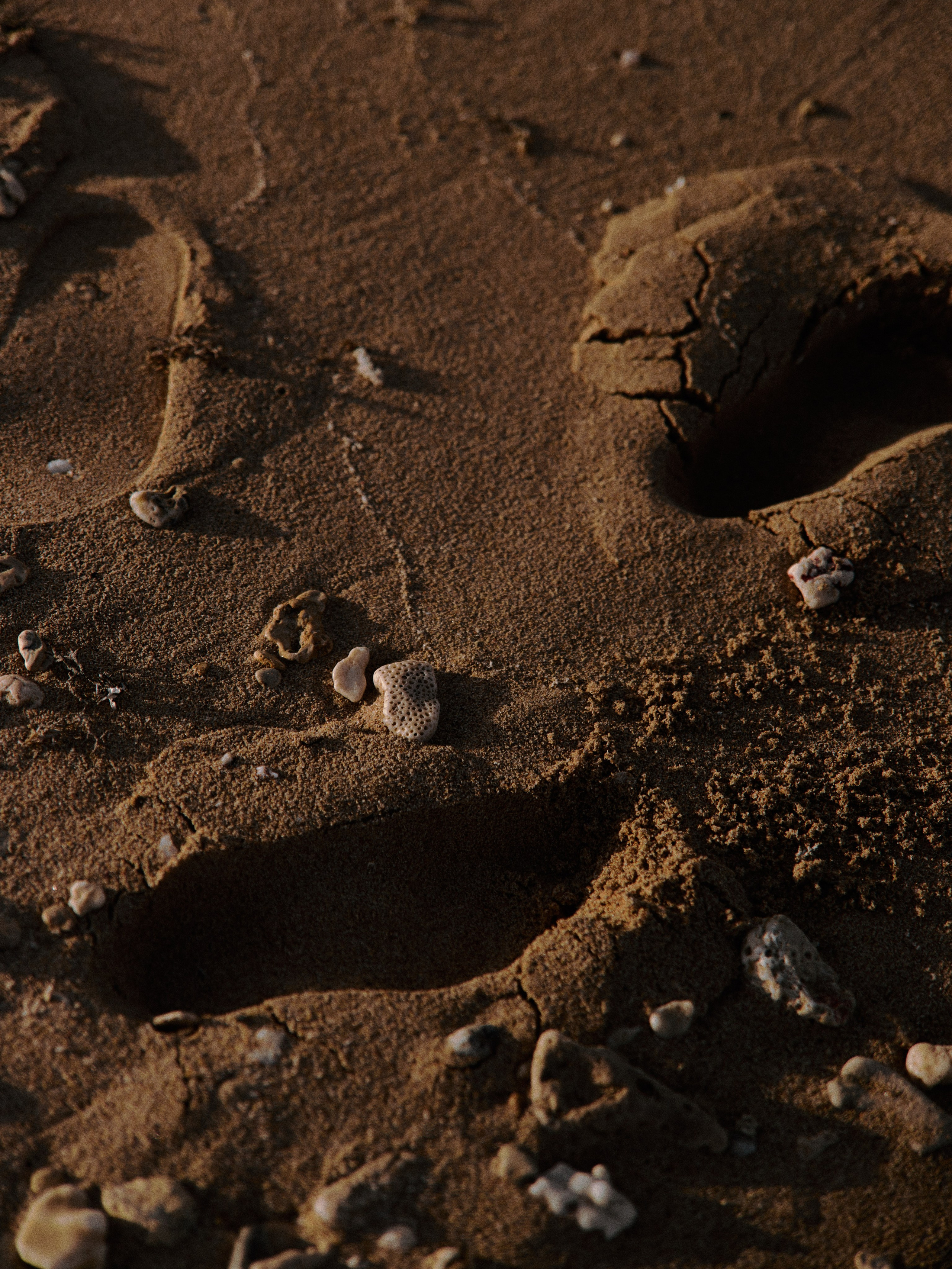 Другое. Jorgis Talè — photographer, kind person, teacher of arts and other mag