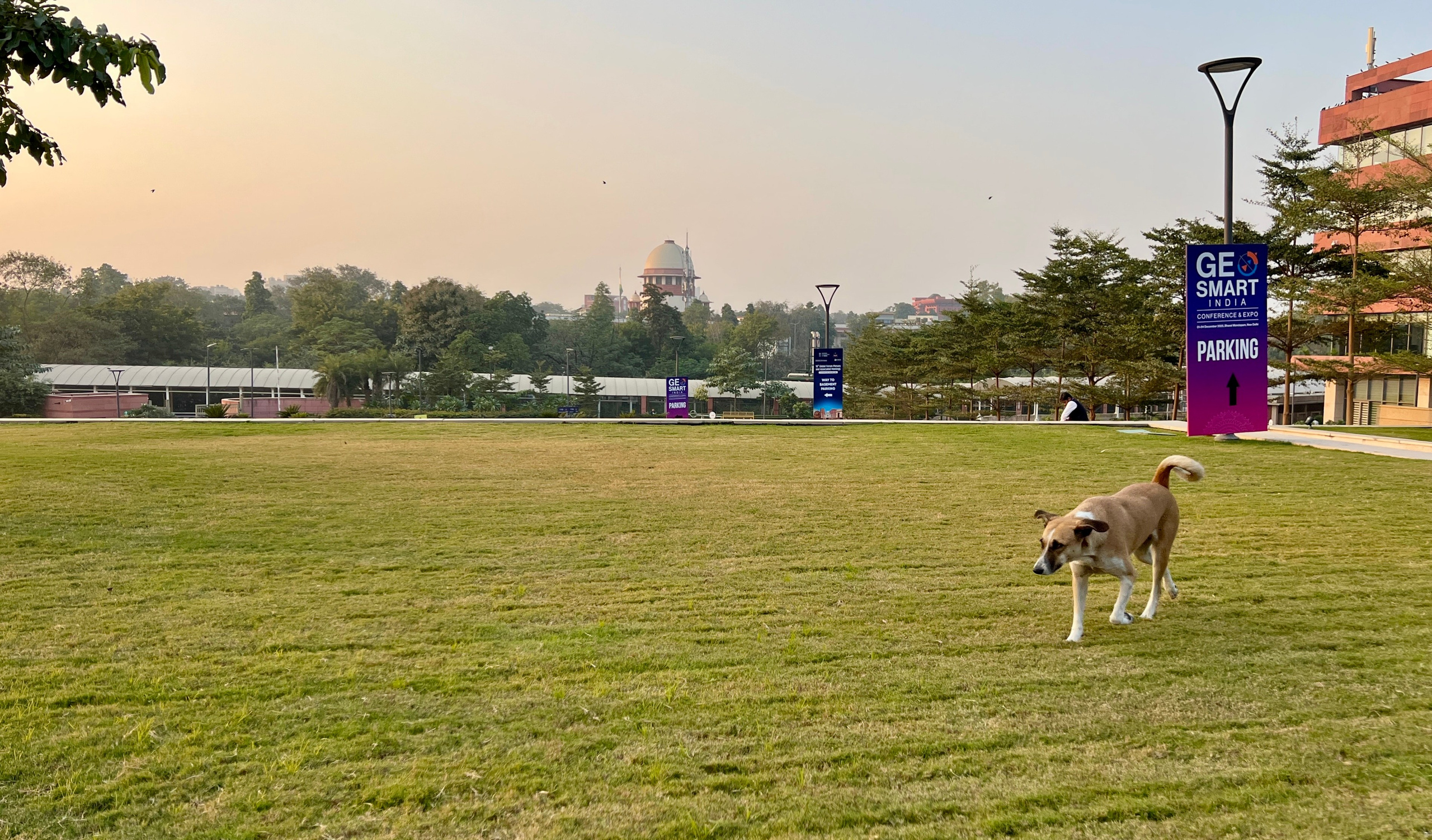 Индия. Телеоператор Ильнур Таминдаров — видеосъемка, документальные фильмы, интервью в Москве