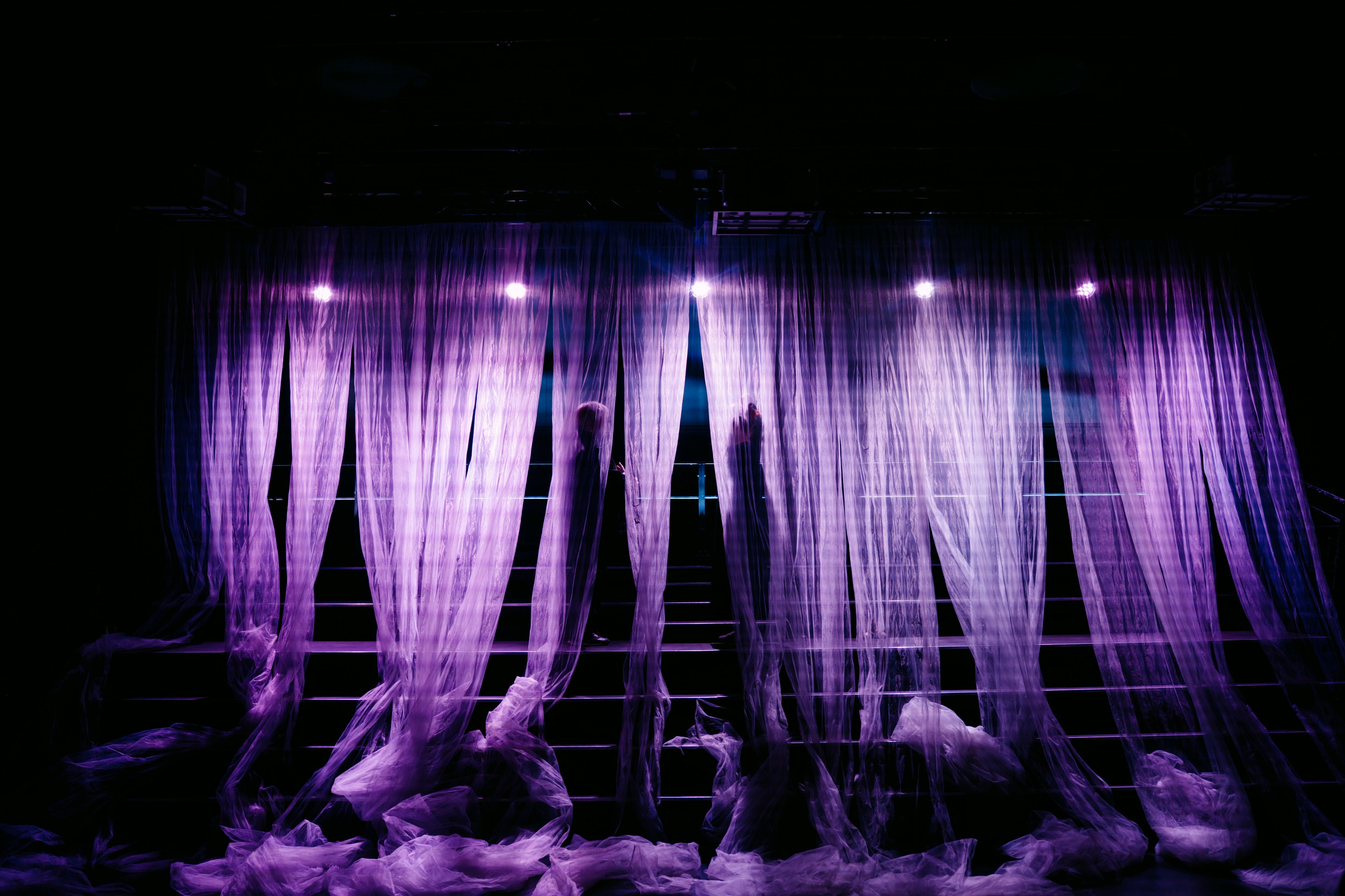 Прима. Главная