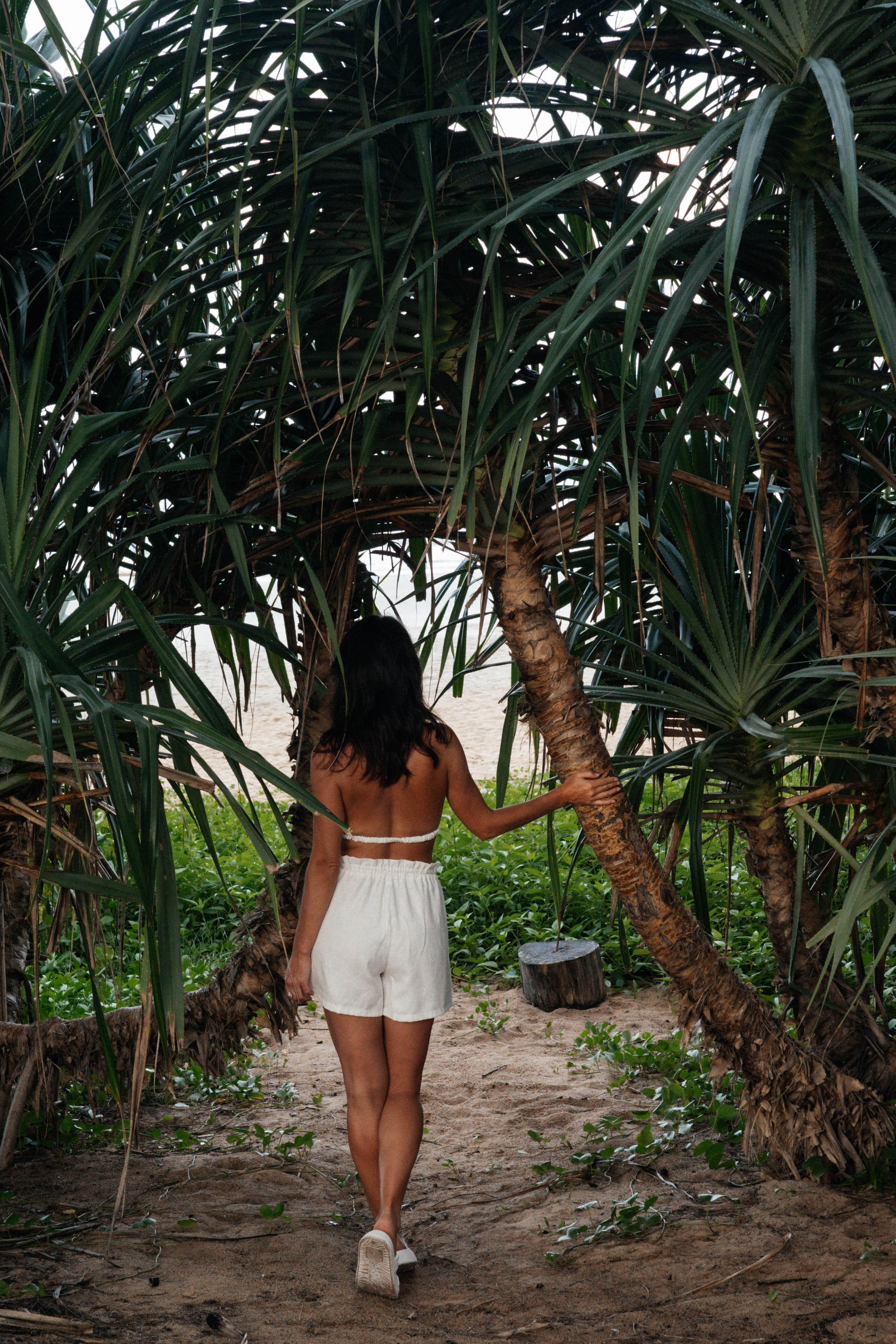 Тай, 2023. Свадебный фотограф Москва Александра Аверкова