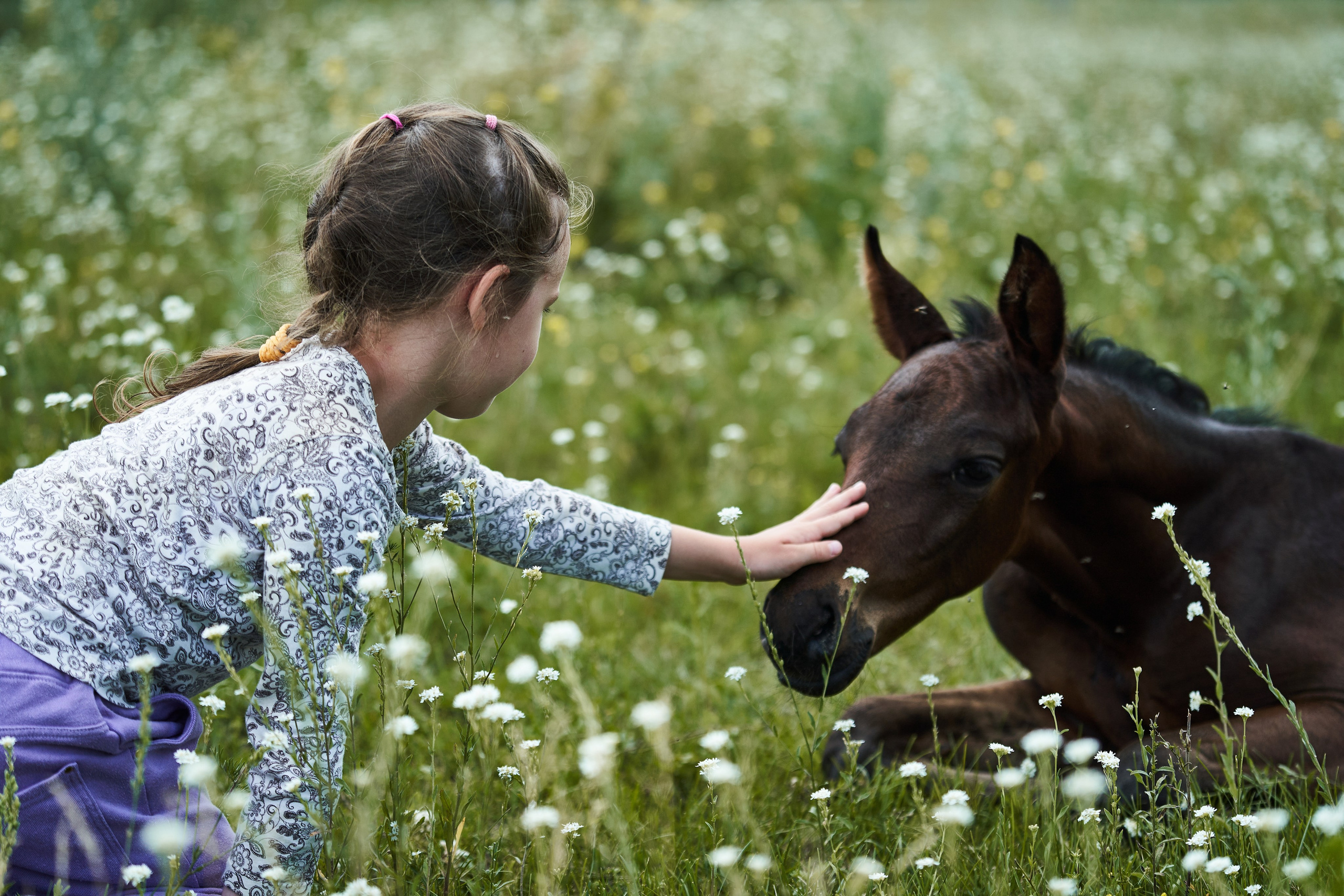 Жеребята КСОЦ «Свобода». Фотосессии с лошадьми в Москве, Новосибирске
