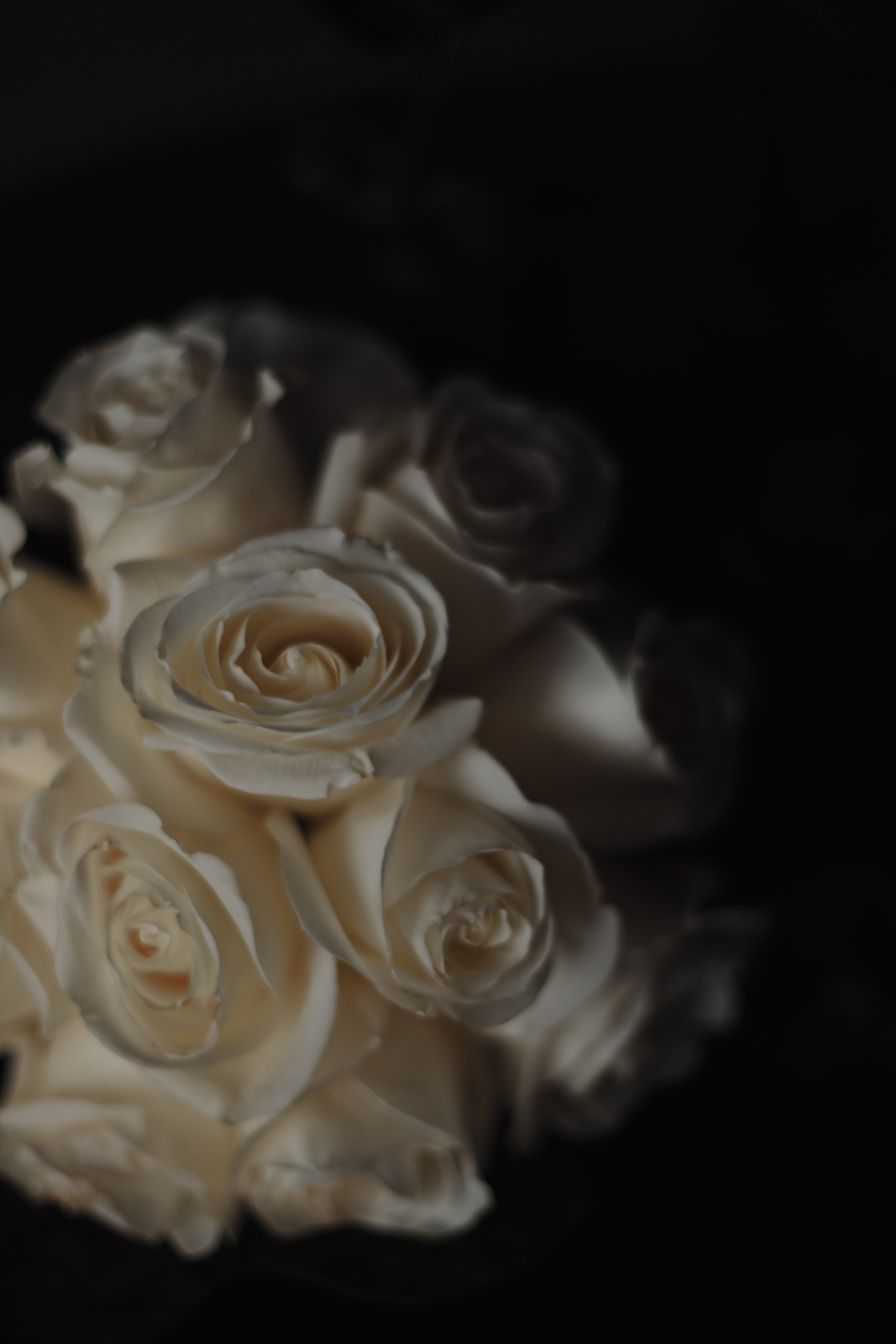 Галерея. Фотограф Анна Рублева