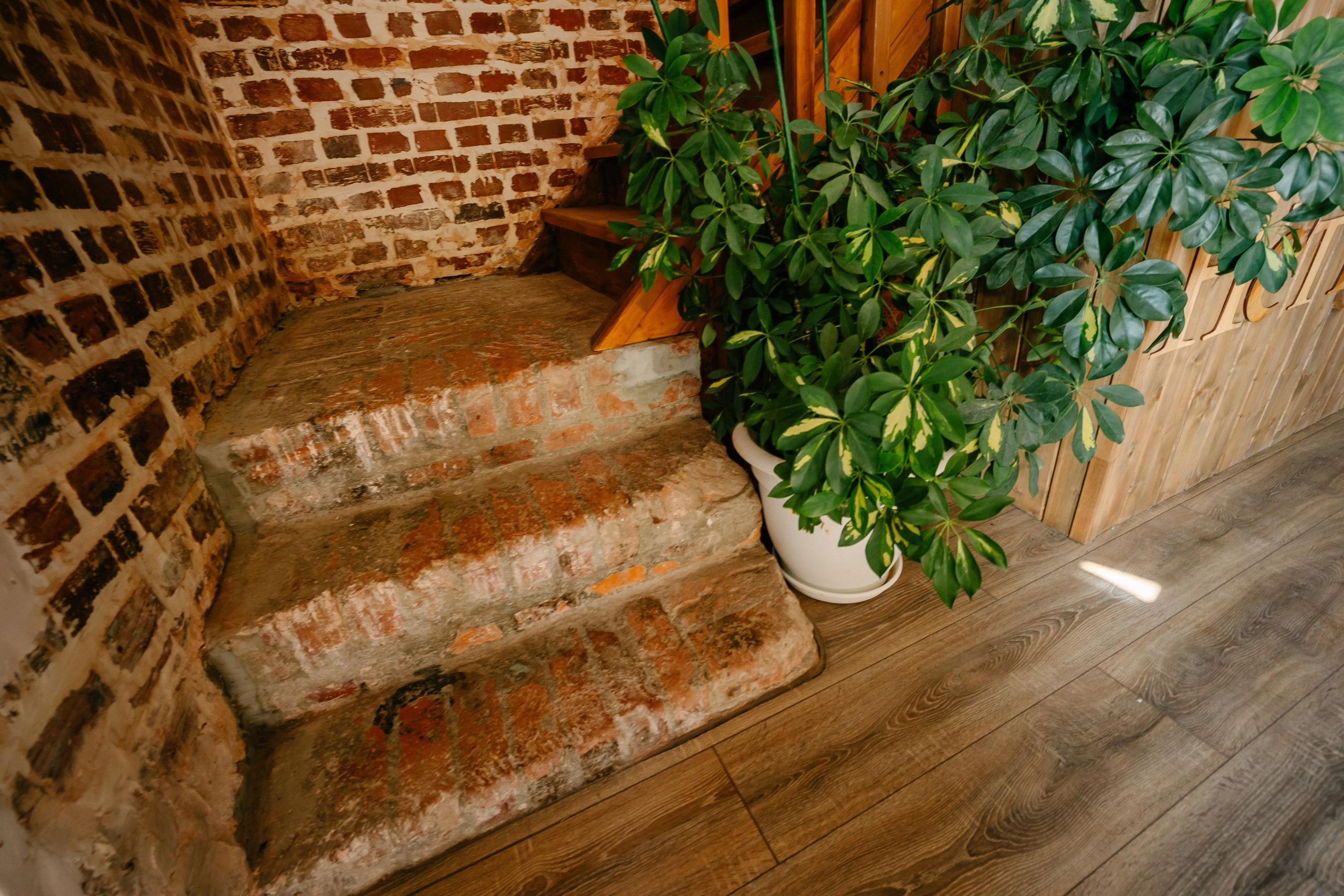 Съёмка объекта недвижимости Хутор Нёттникен. Свадебный, семейный и детский фотограф в Калининграде Елена Кравцова