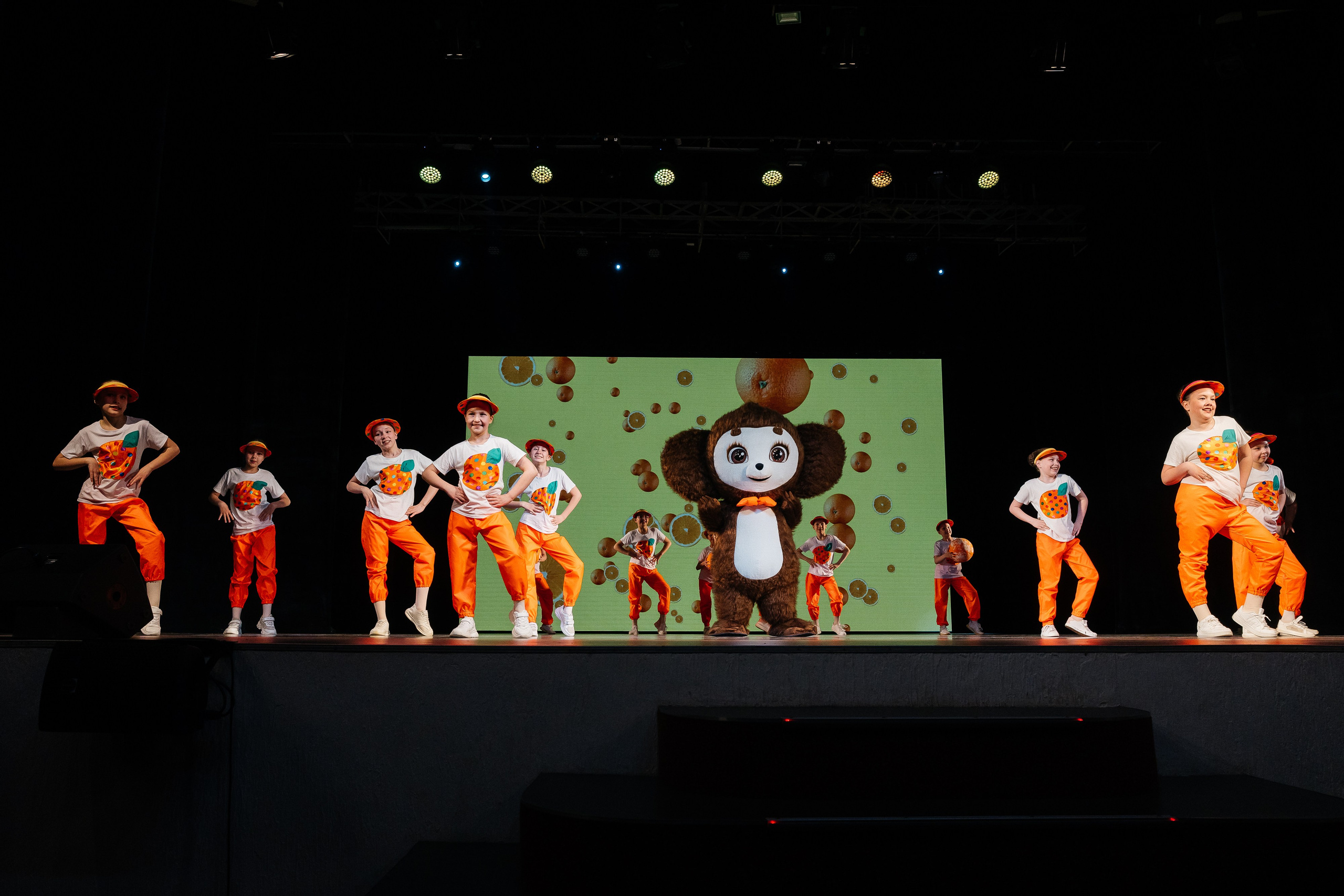 Концерт. Свадебный, репортажный, семейный фотограф Елена Брюхова