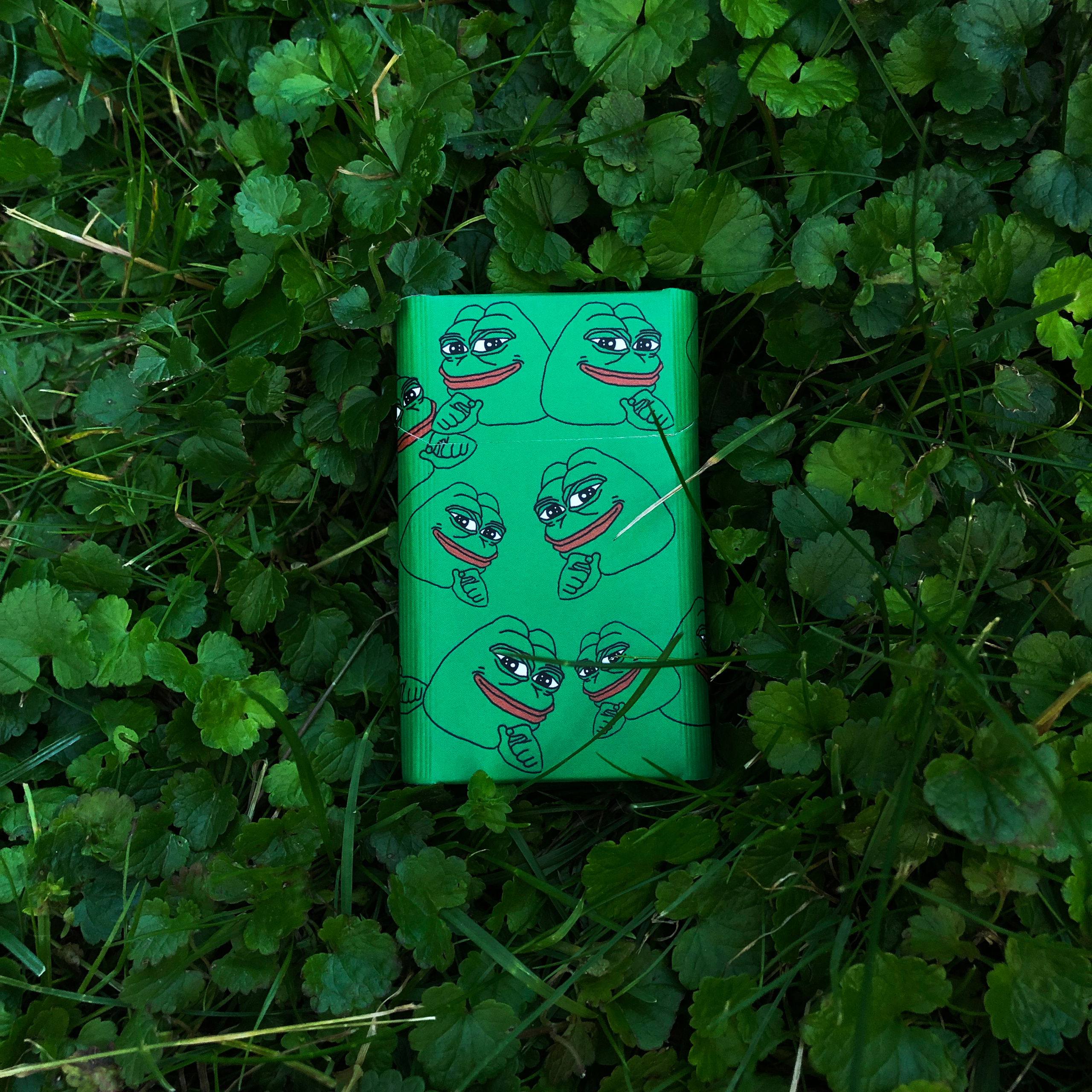 Pachka. AMODEO STUDIO