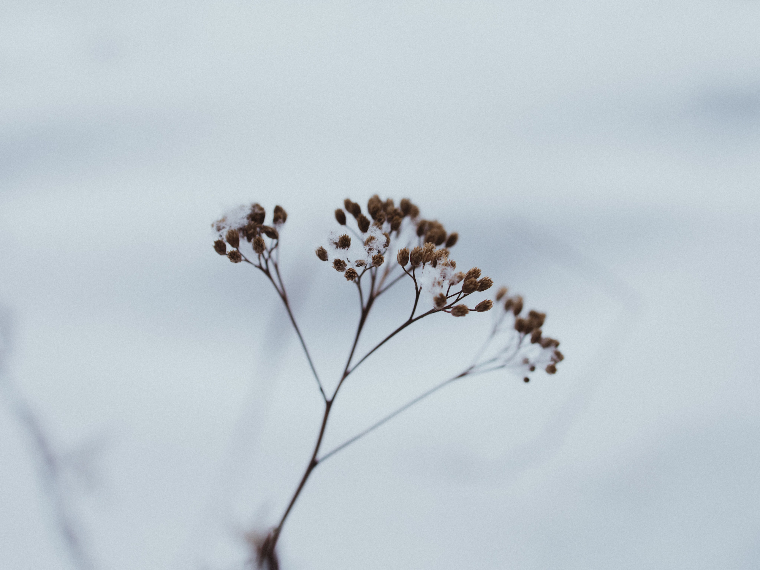 Маршрут ветеранов — электросила. Анна Мильч