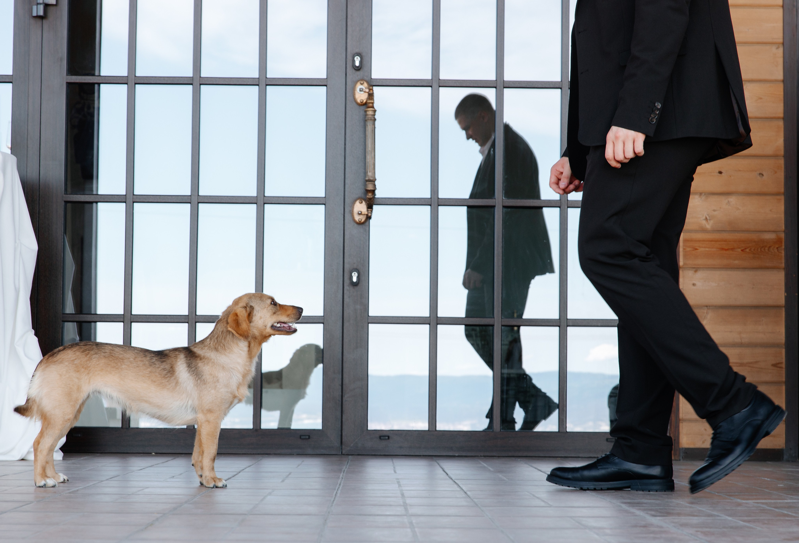 Сияй. Фотограф Аделина Raw