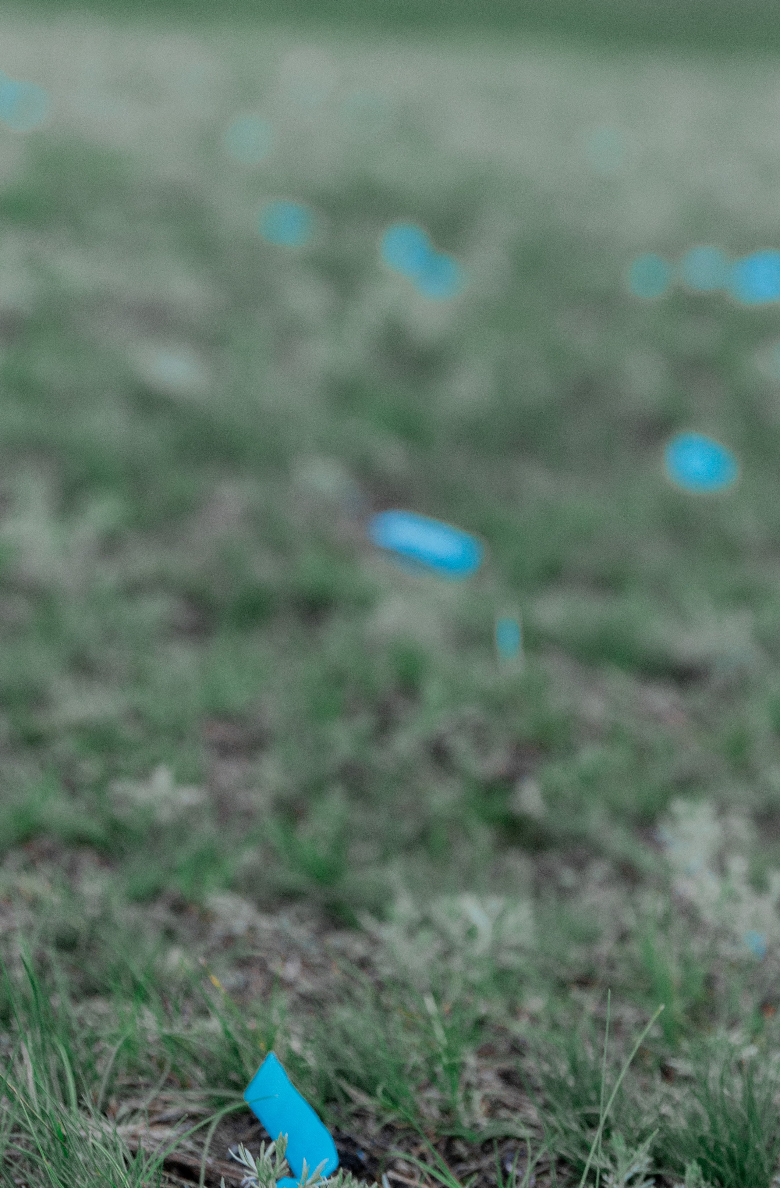 Семья Ерсултана