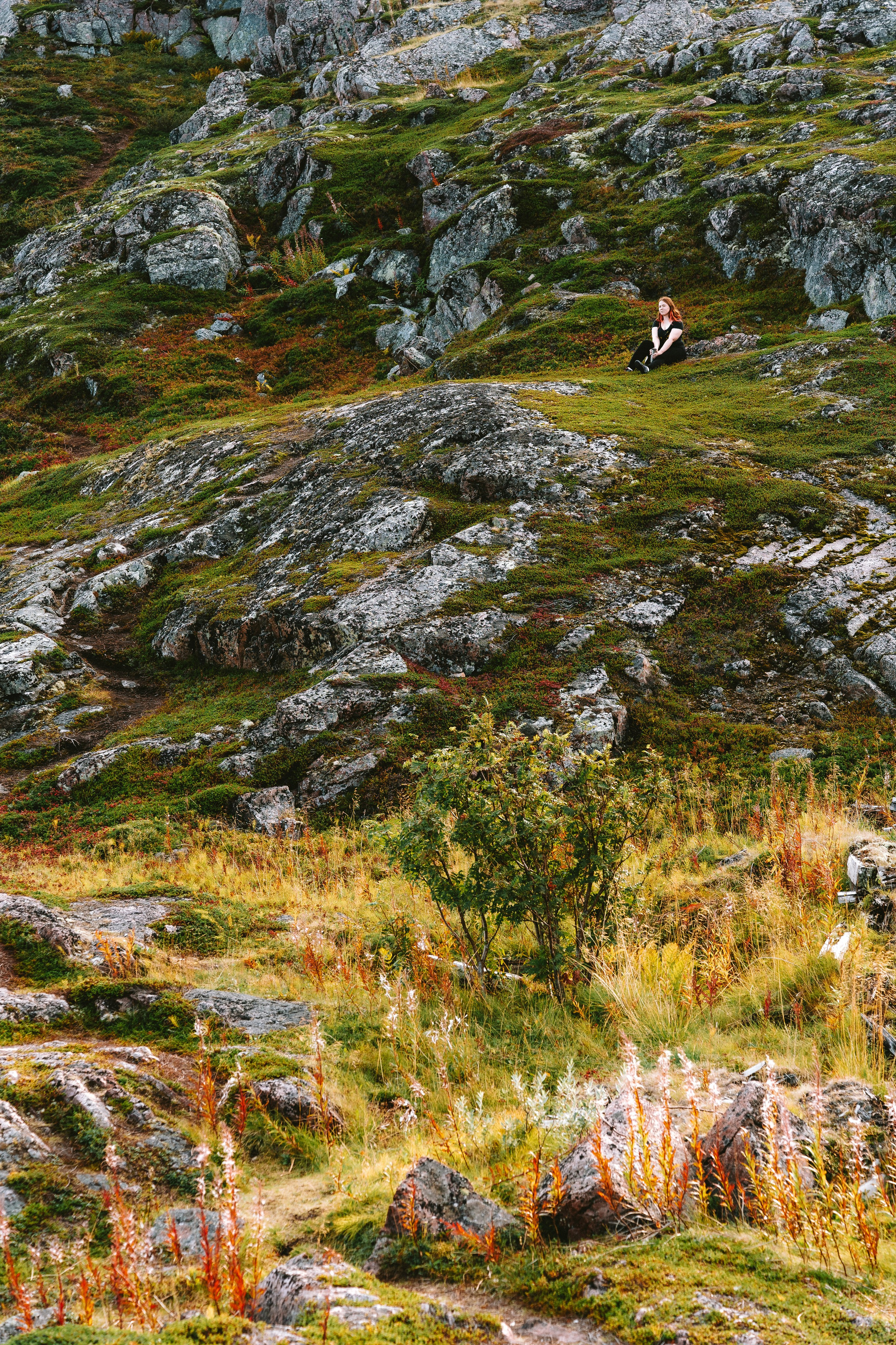 Landscape+. Arseny Sapelkin