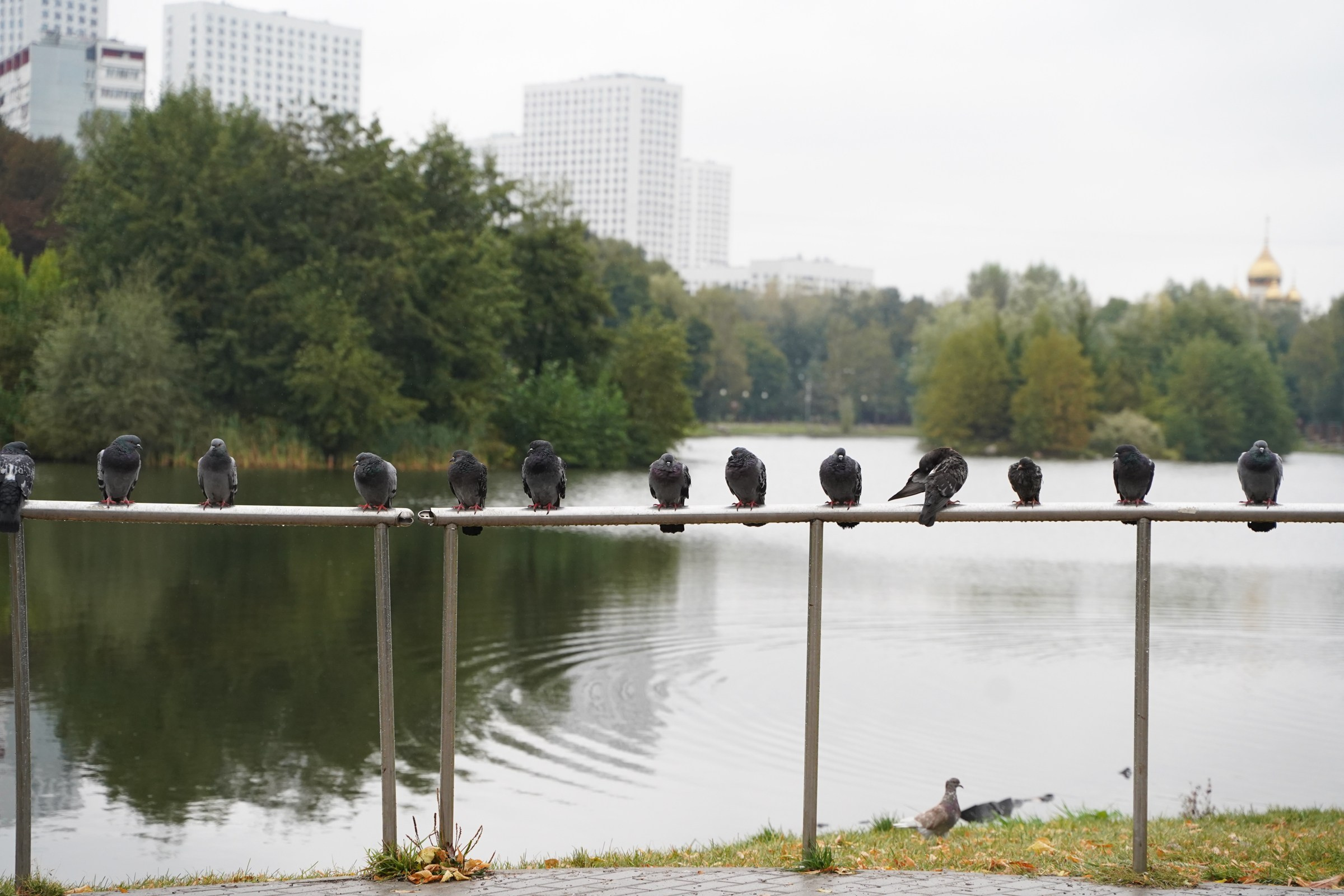 Паркран Ангарские пруды. Семейный видеограф и фотограф Соснина Марина