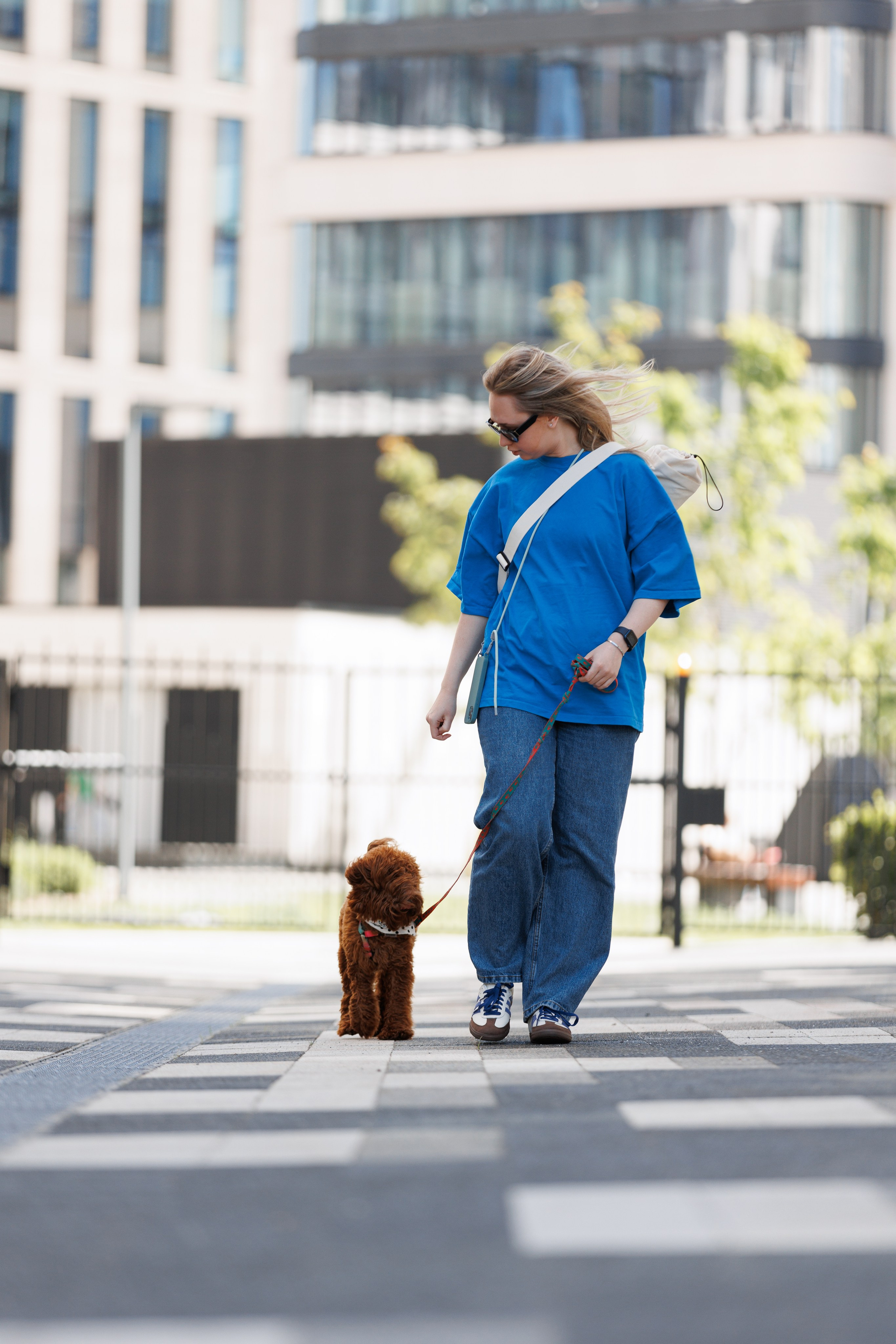 Bmbh городская. Фотограф анималист Кристина Карпова, Москва