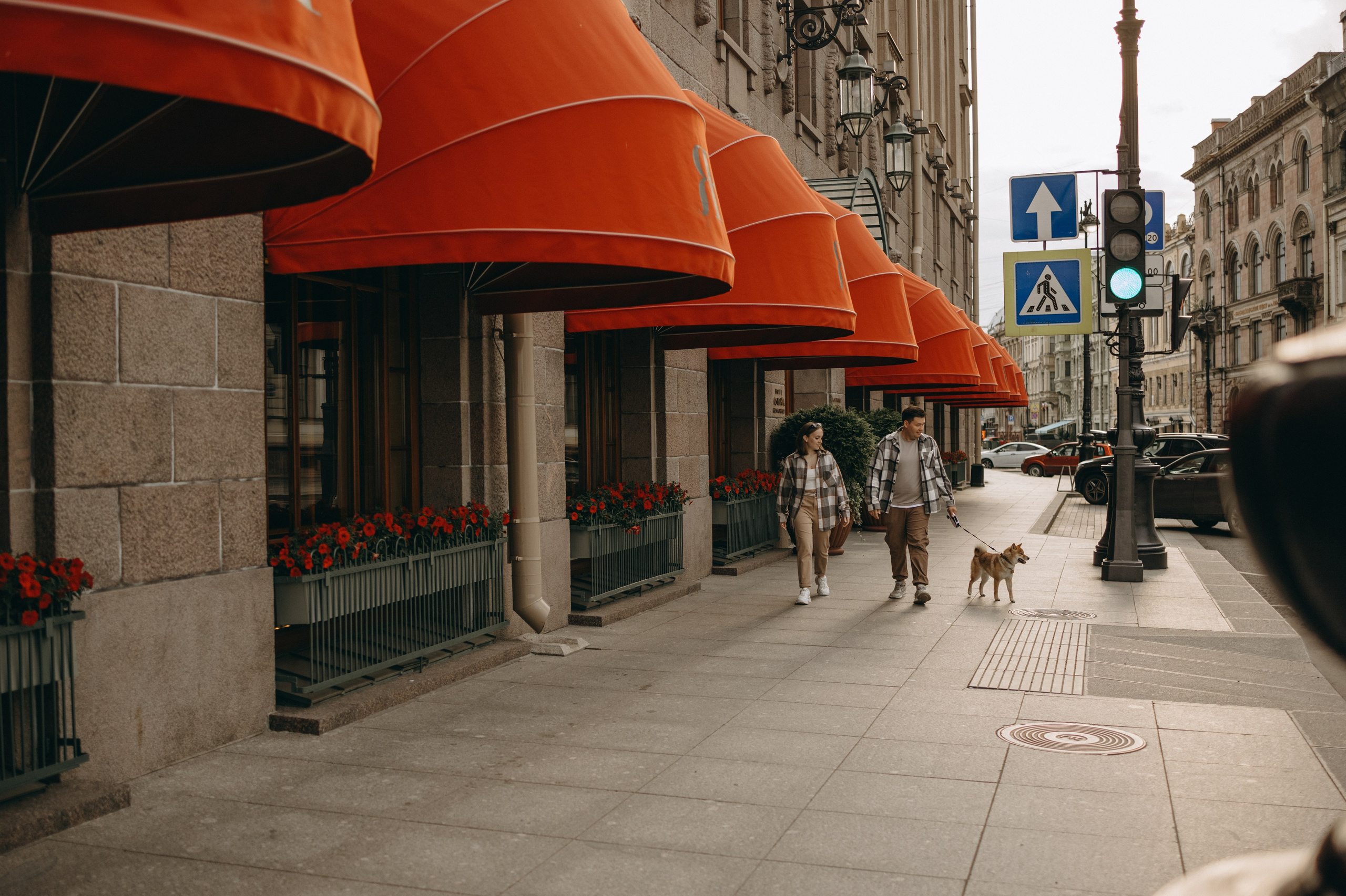 Сириус и его семья. Фотограф — Анималист | Санкт-Петербург