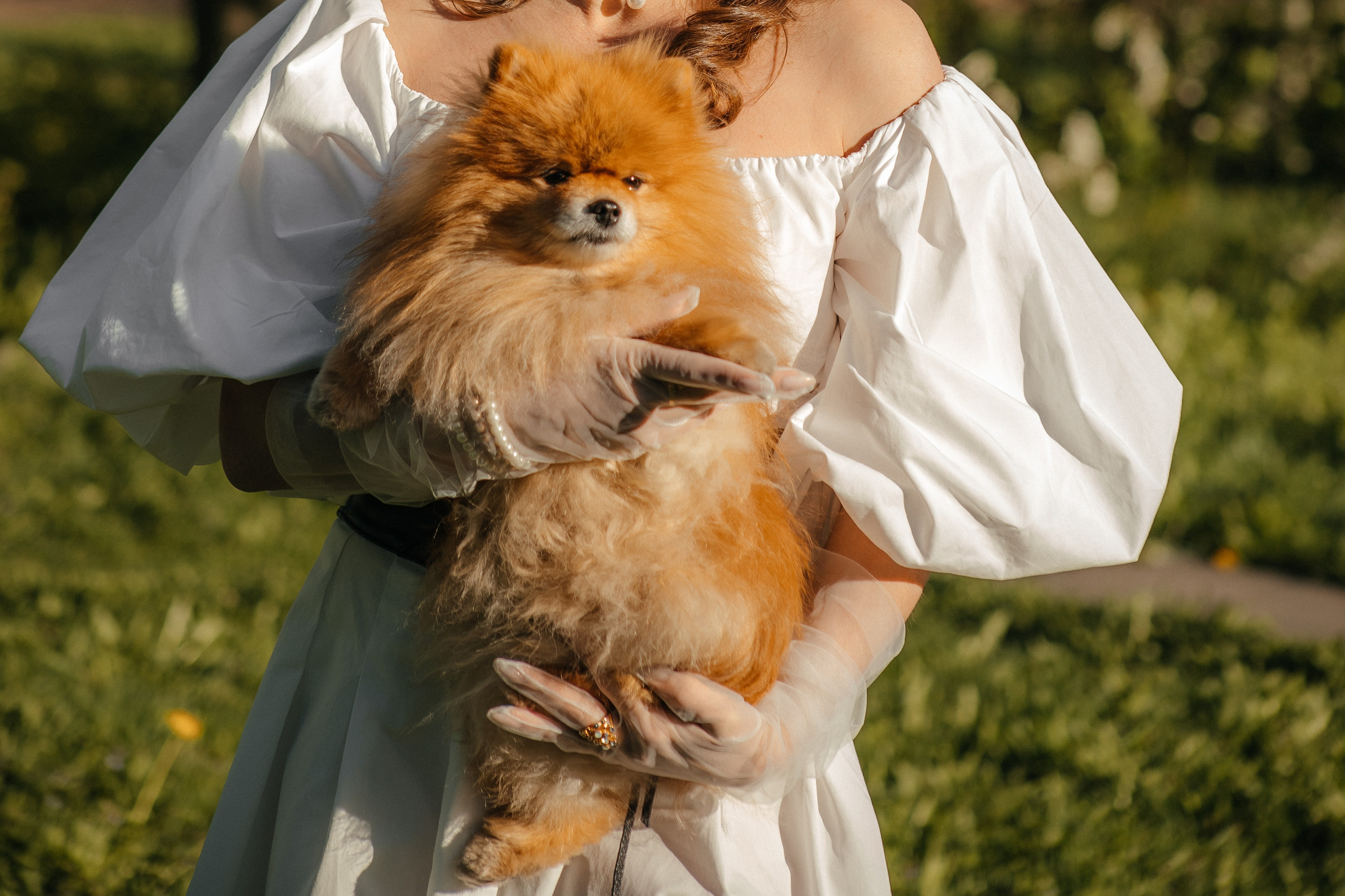Белое цветение. Elena Sova — семейный и женский фотограф в Санкт-Петербурге