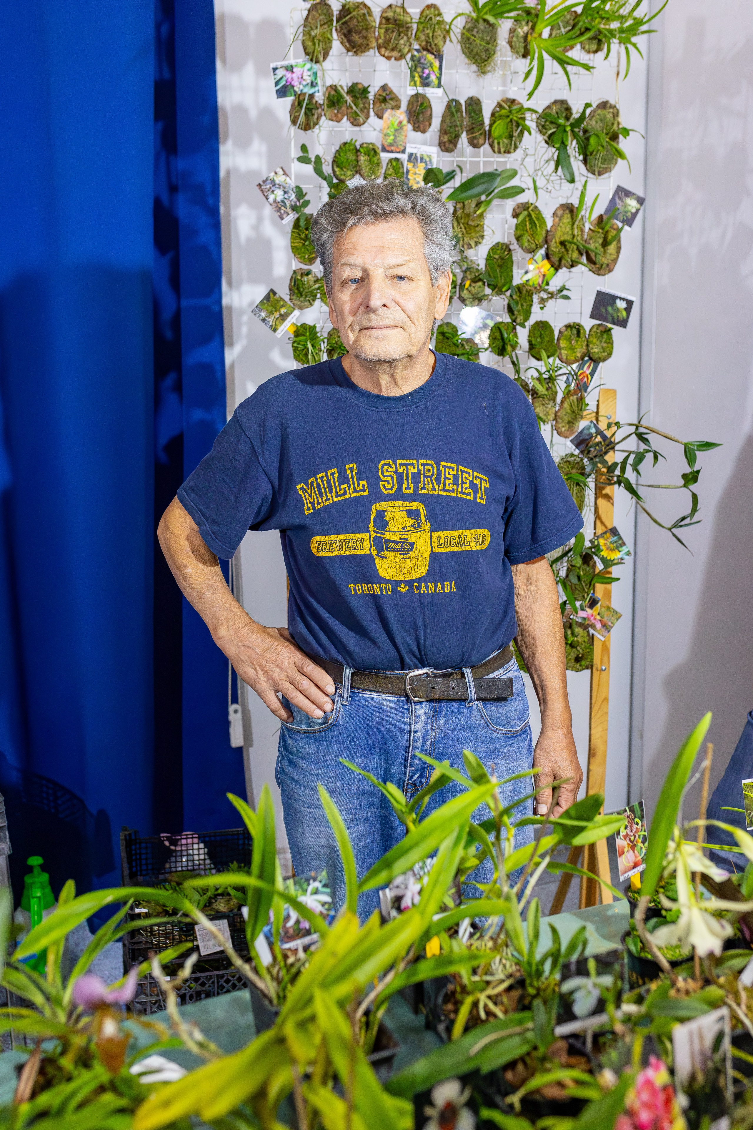 Орхидиум сентябрь 2025. Александра Куликова фотограф, Москва