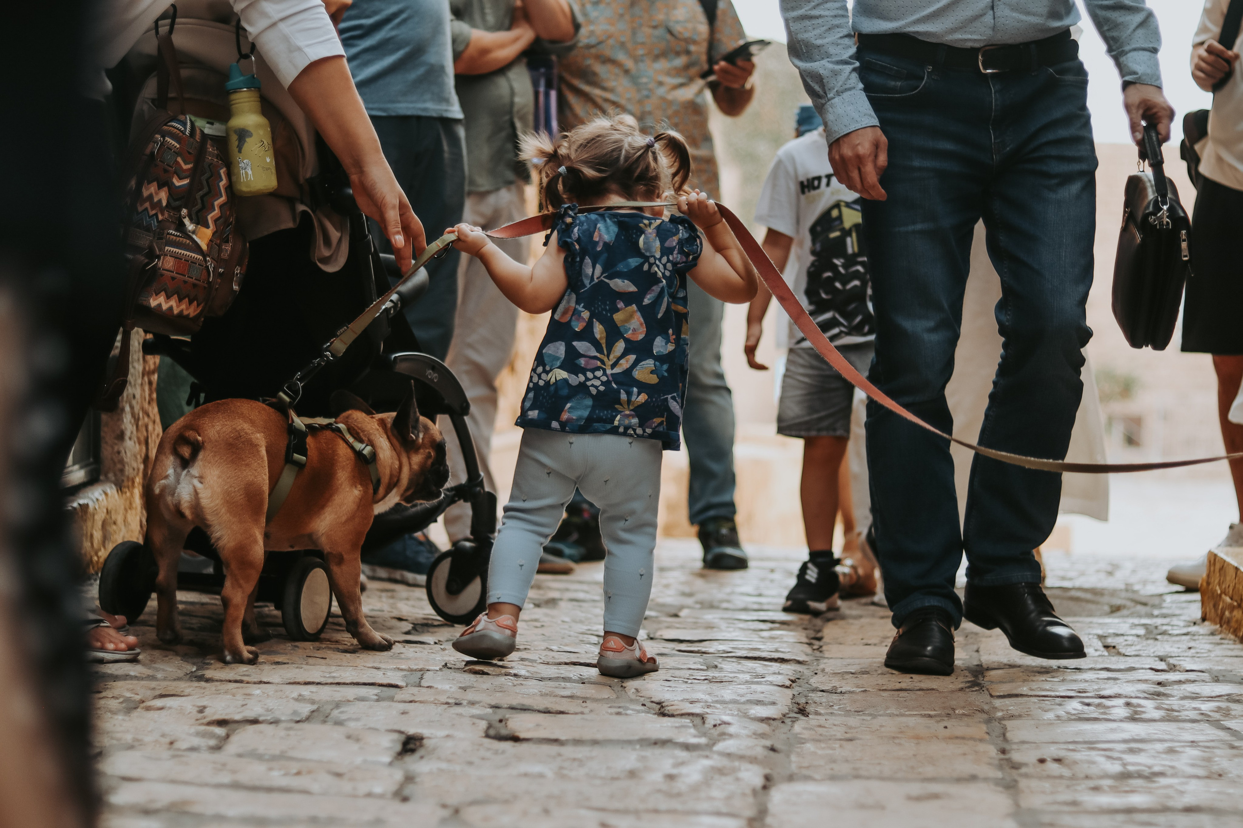 Charity walk in Jaffa, Tel Aviv 2023. Photographer in Israel Alice Milchin