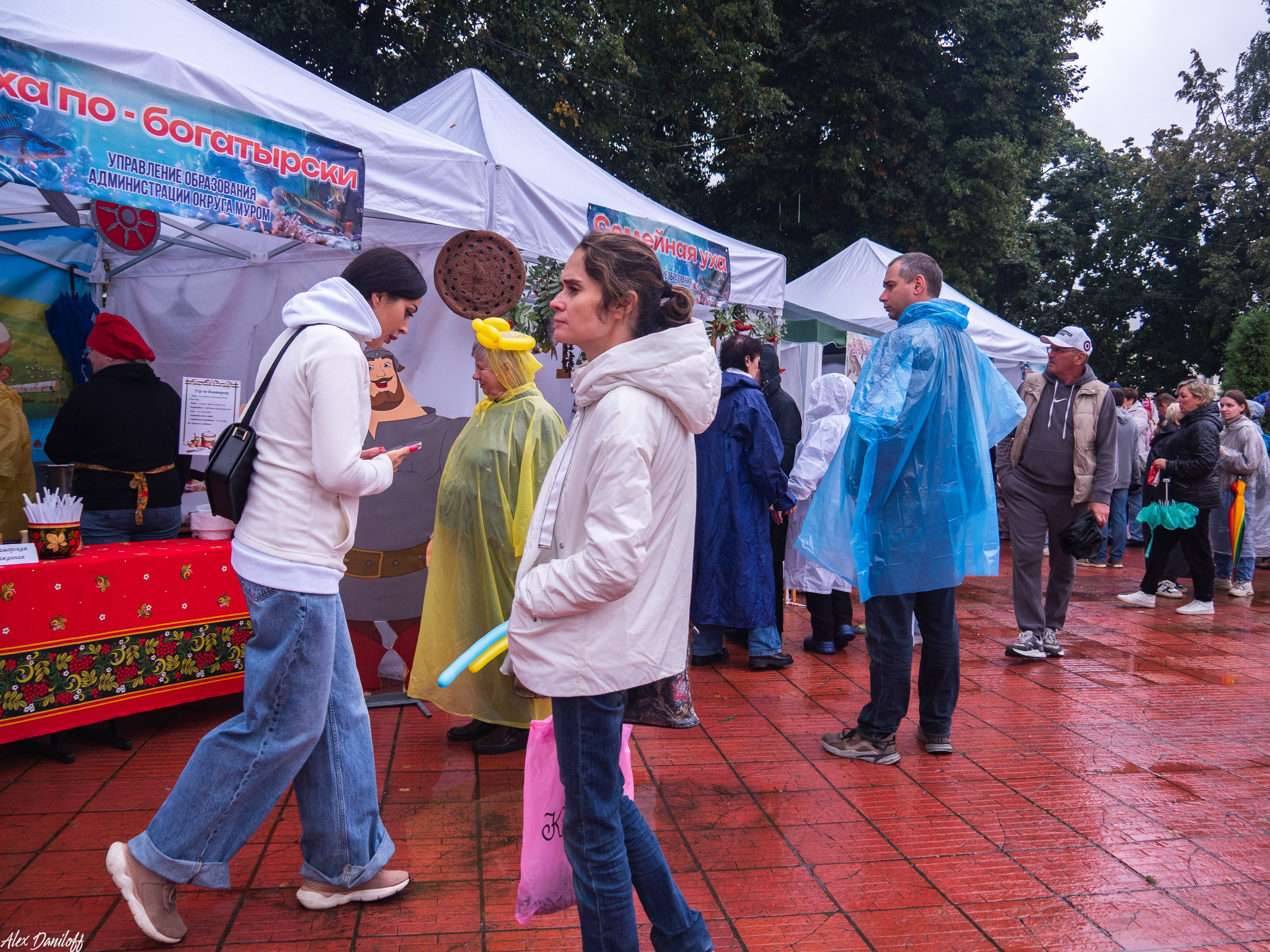 День города Муром 2025. Муром-Инфо. Новости культуры, образования, спорта в городе Муром