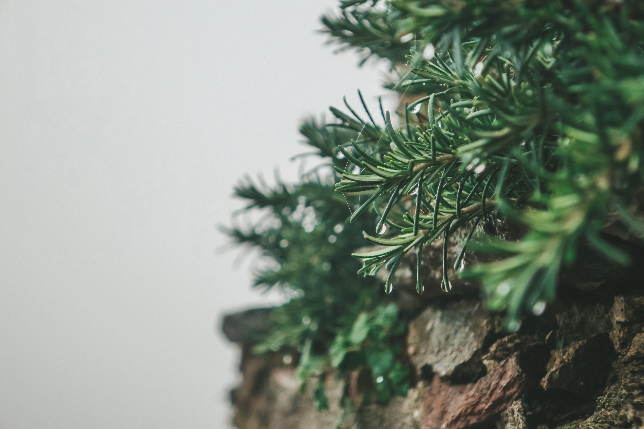 Путешествия. Портретный фотограф в Москве Эмиль Халиков