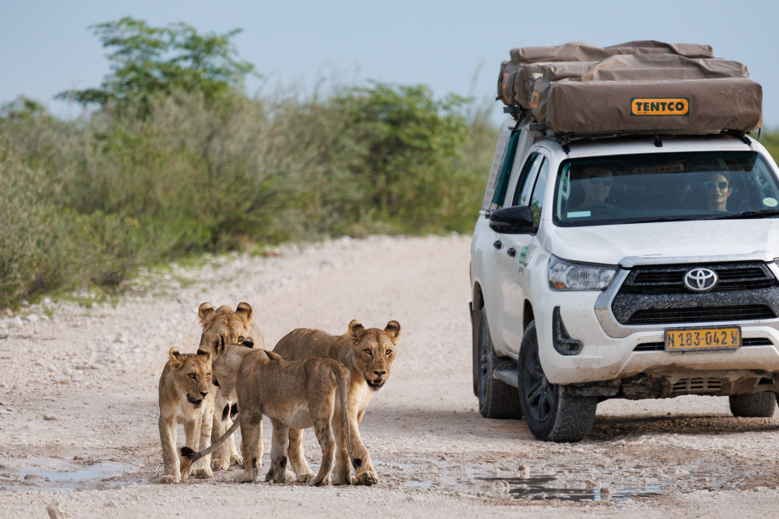 НАМИБИЯ. Роадтрип