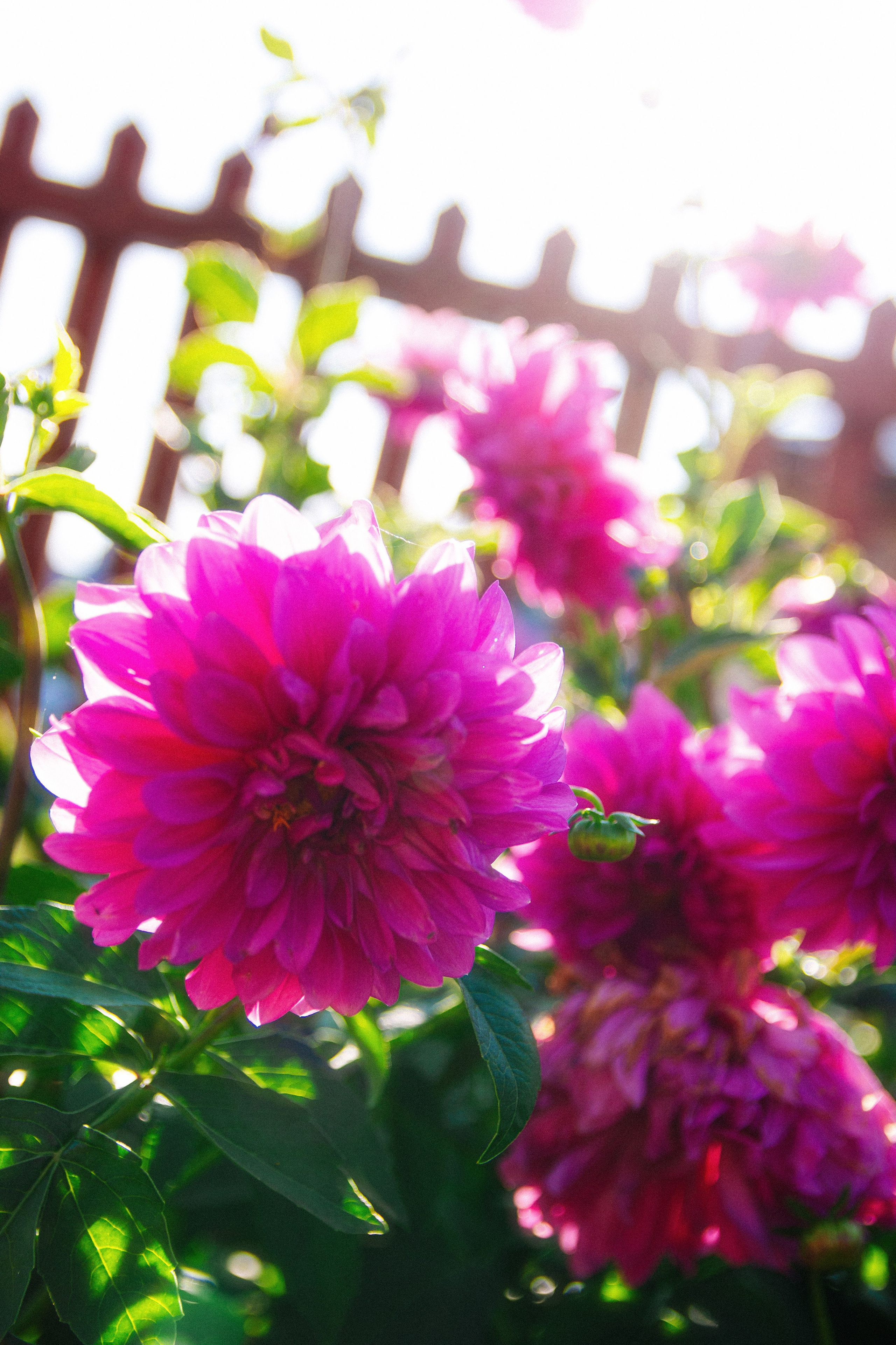 Болгар. Главная