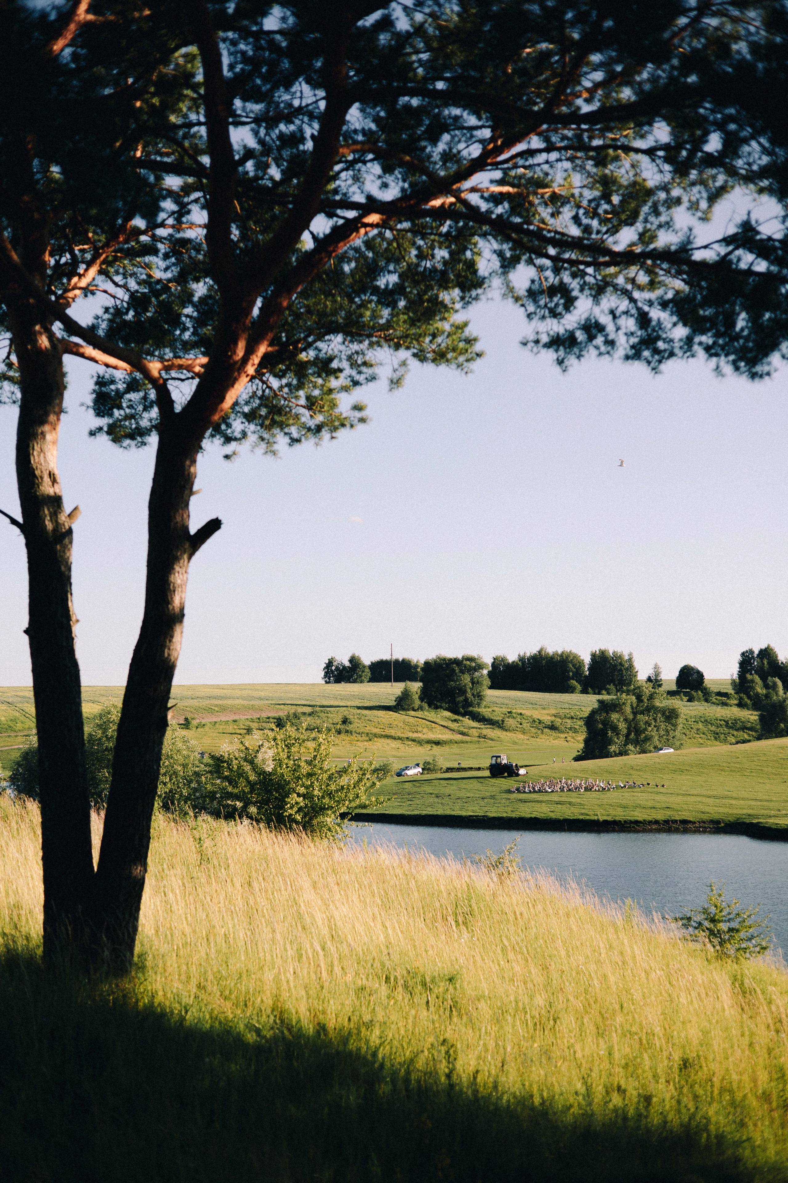 Серёжа & Настя. ФОТОГРАФ РОЗА ФИЛИНА СПб I МОСКВА