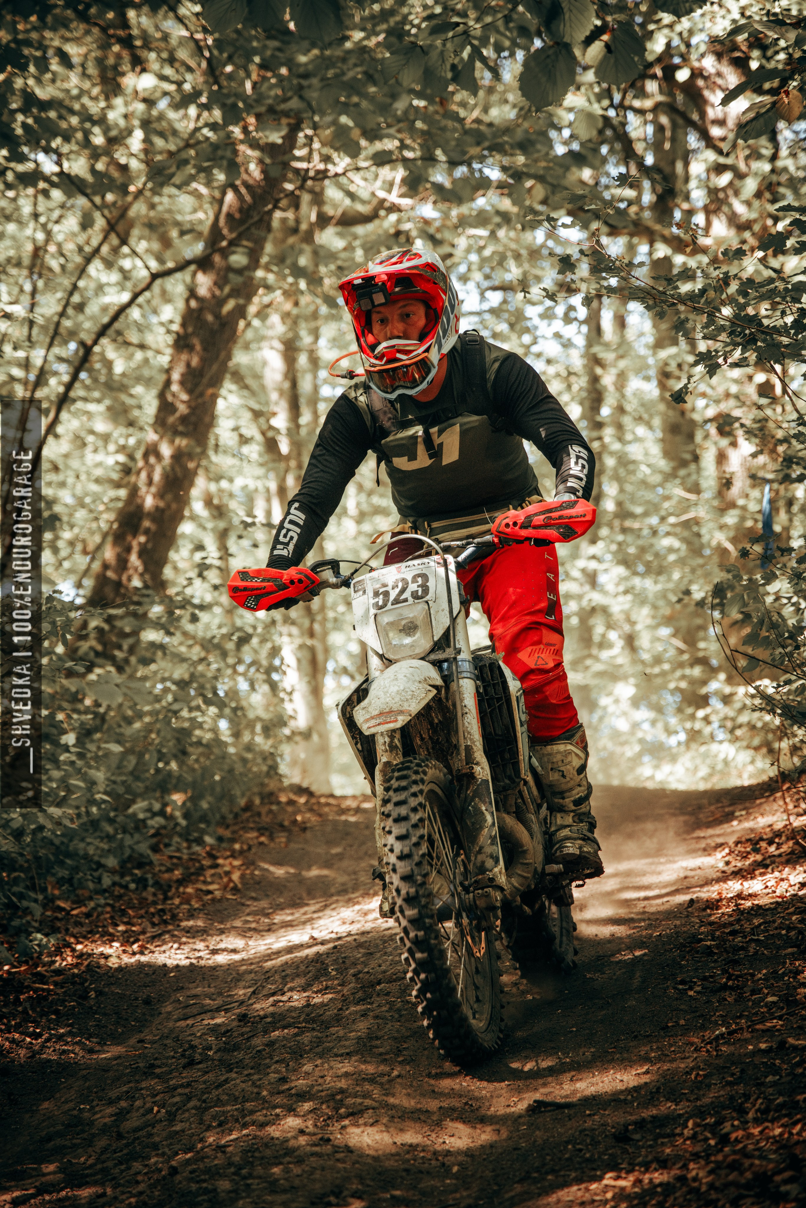 2 лесной день. Ваш экстрим фотограф Кудрева Яна