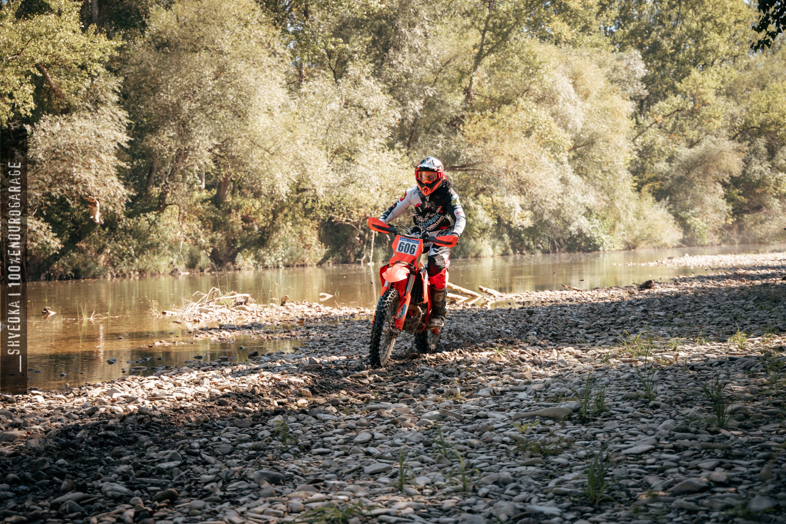 1 лесной день. Ваш экстрим фотограф Кудрева Яна