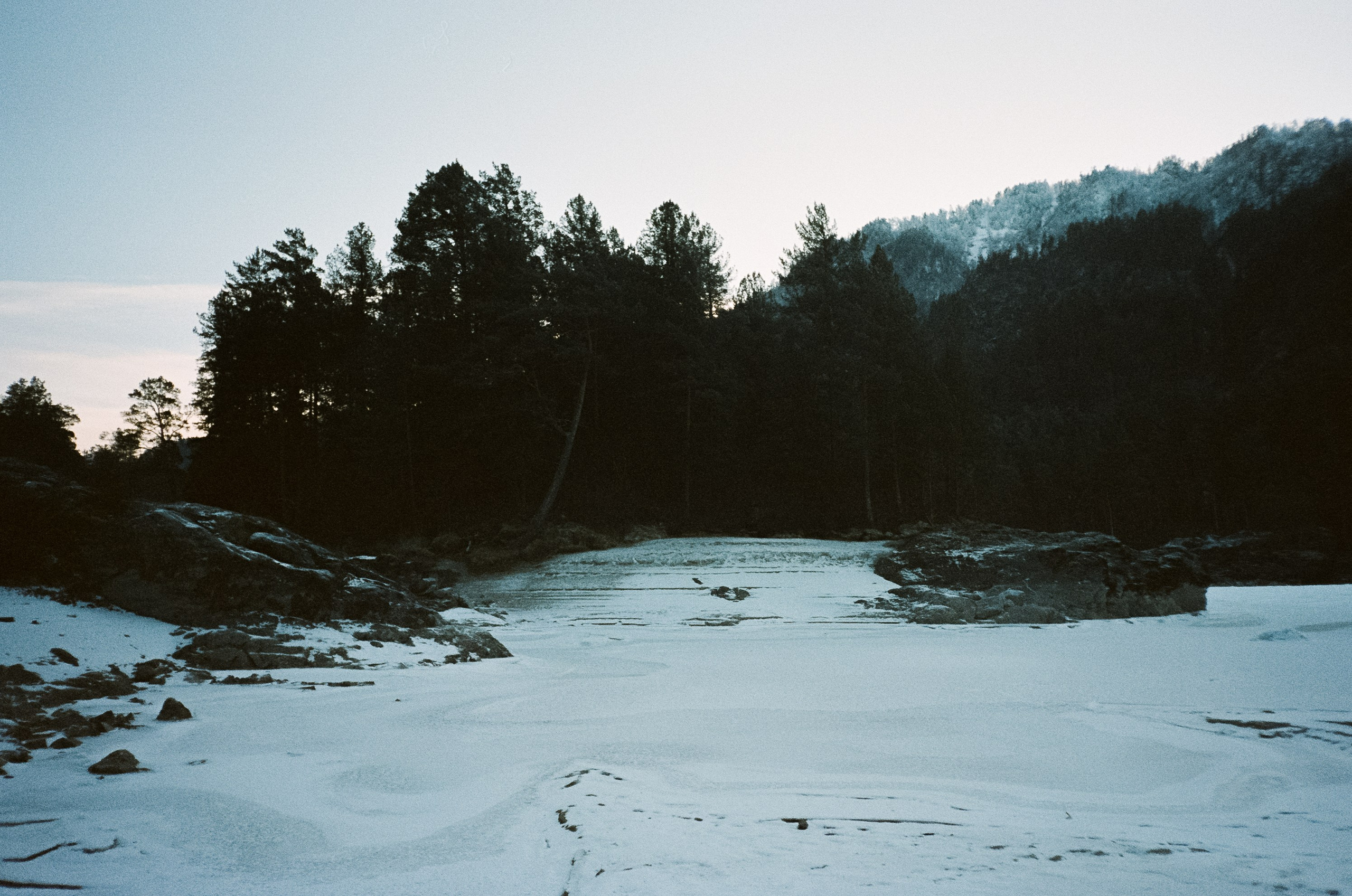 Кедровый остров в суровый мороз. Фотограф-документалист Мария Осокина